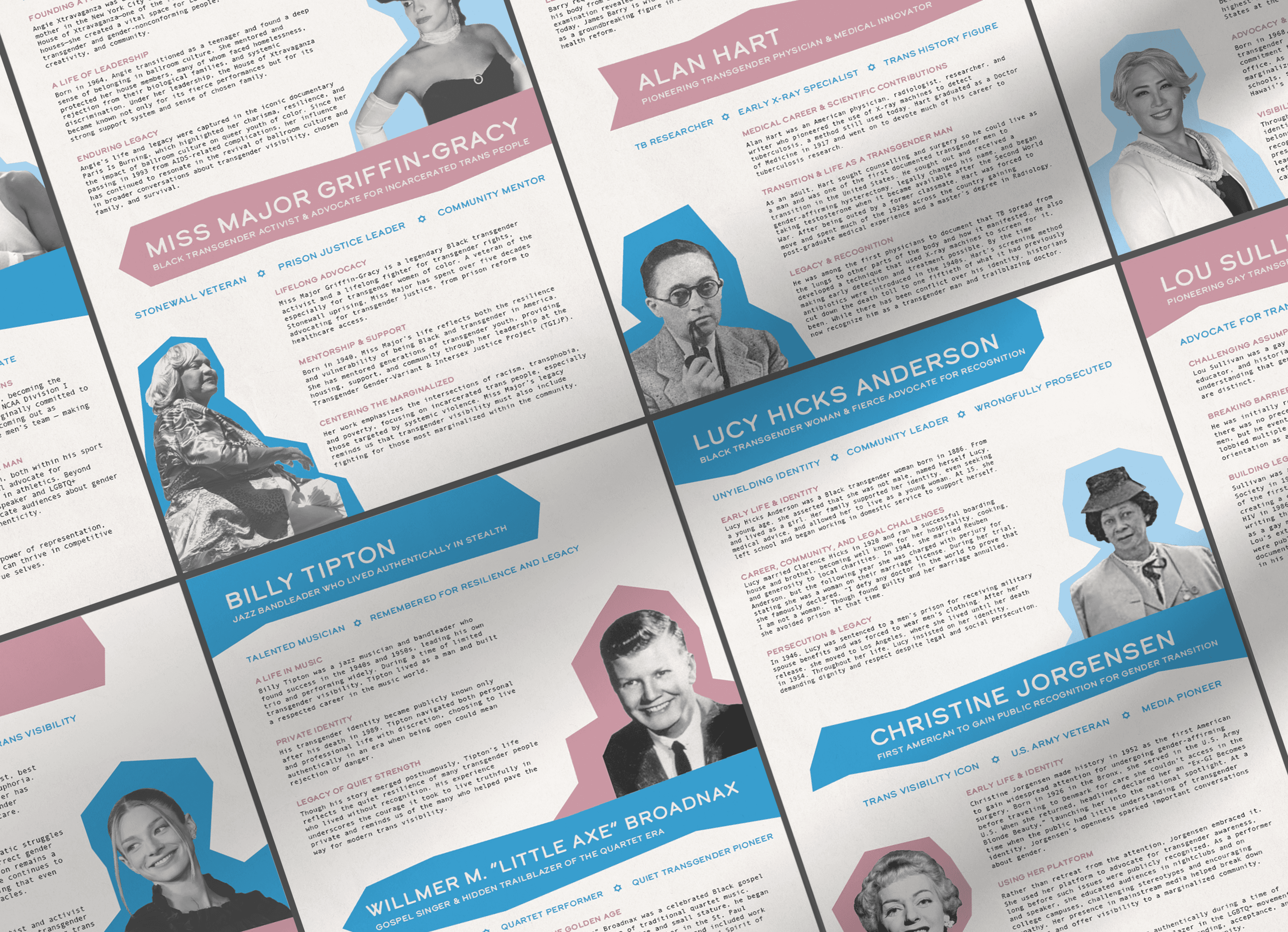 Transgender Day of Visibility event materials