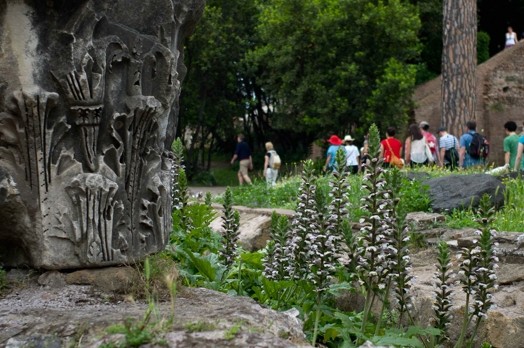 ancient ruins close up with people in the background