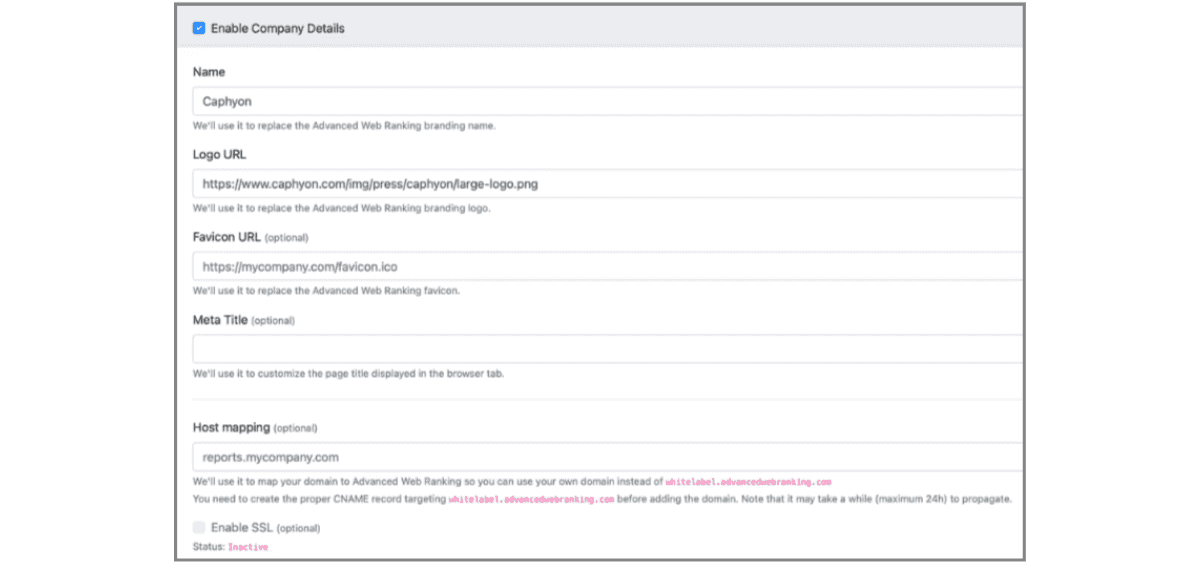 Brand the Report as Your Own
