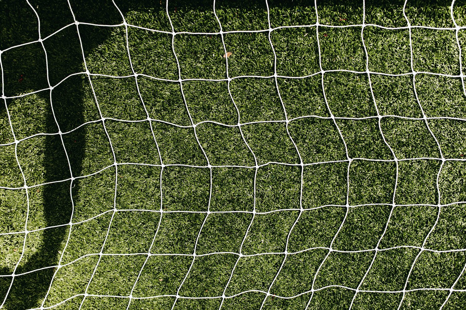 A net hangs over a soccer field