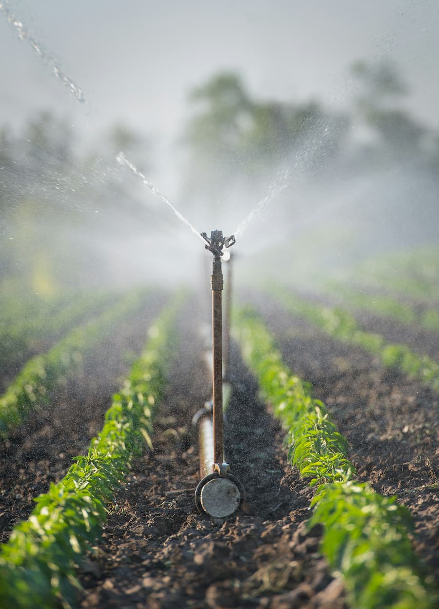 Irrigation Services Photo