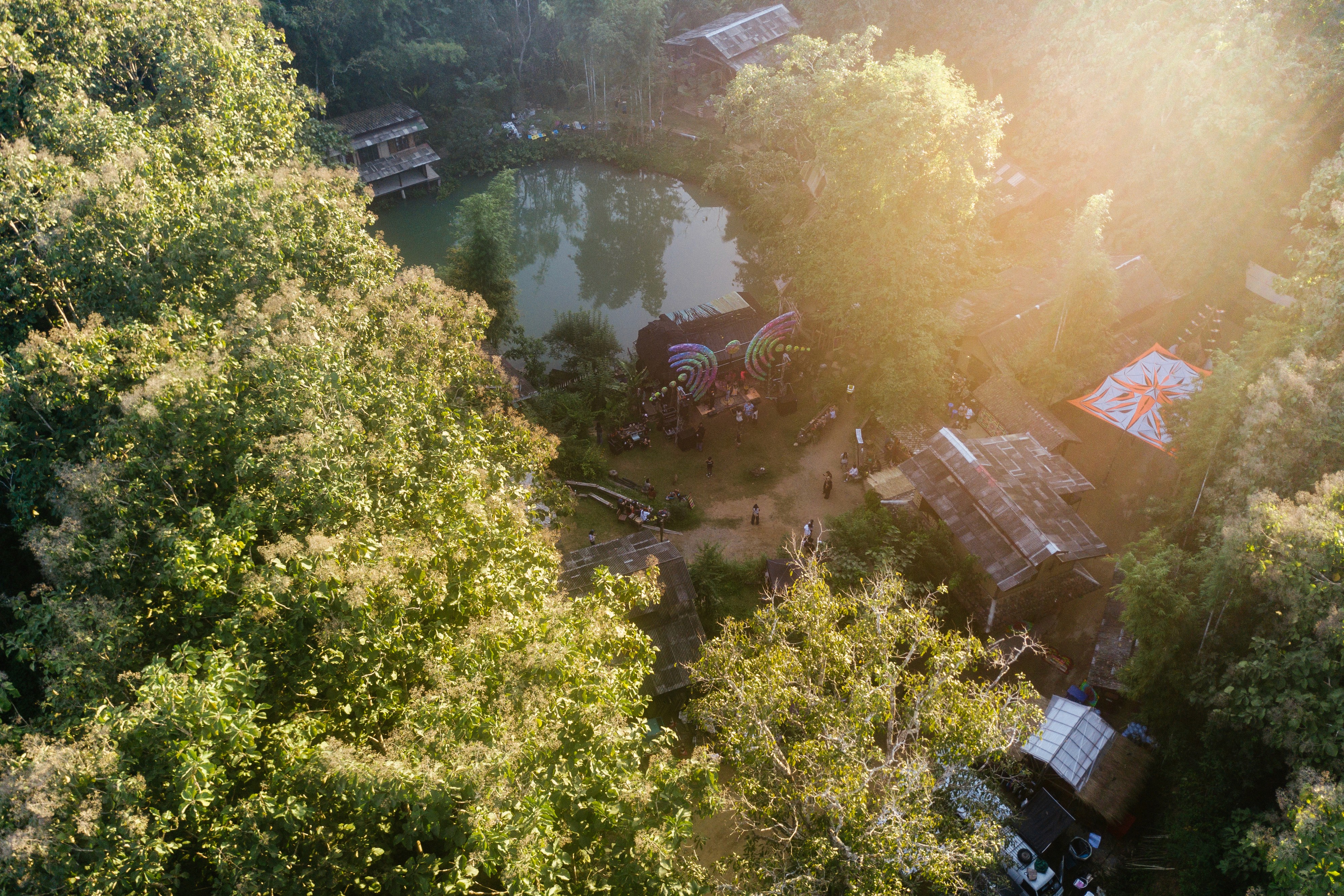 person sitting on grass and using phone