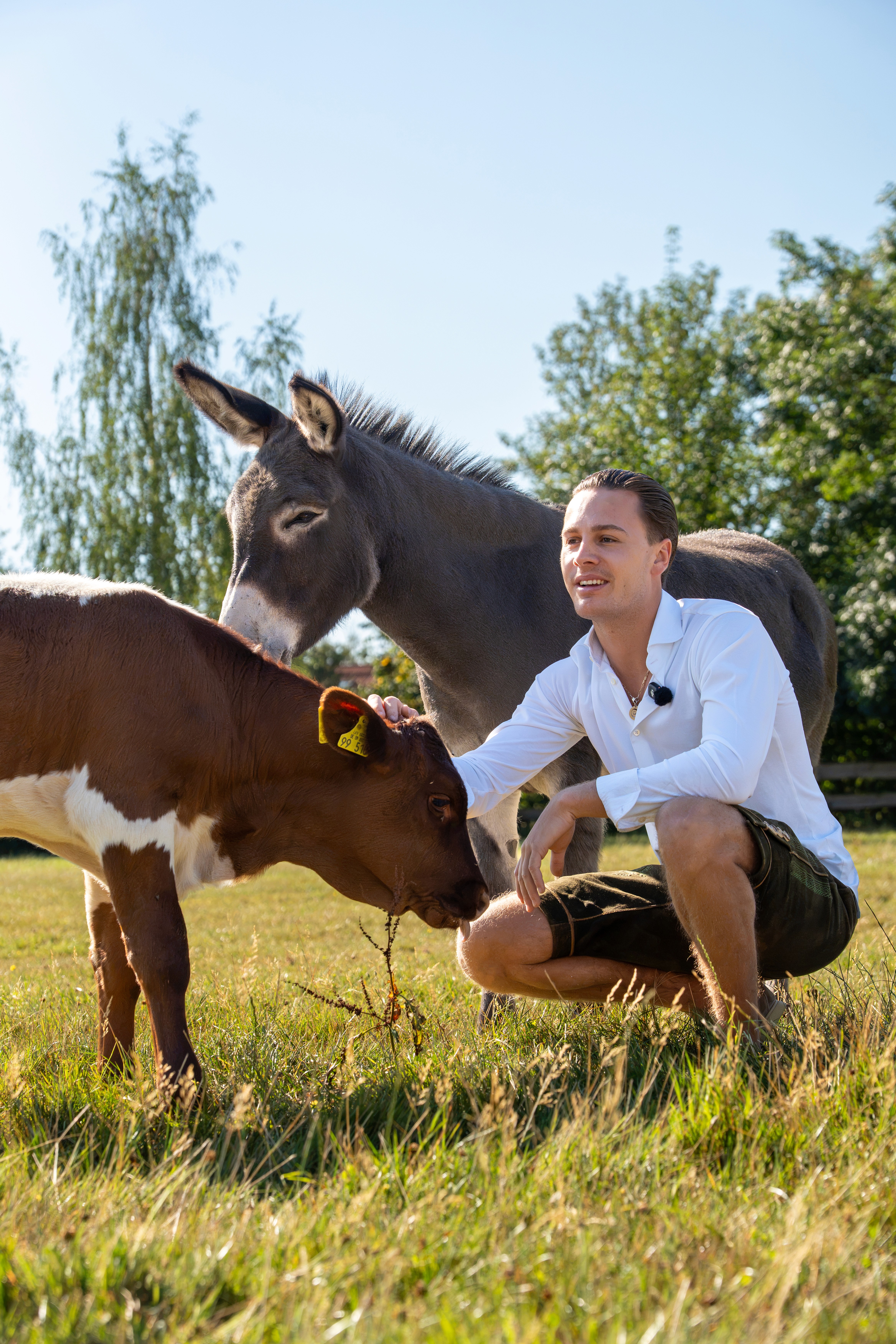 Foto aus dem Projekt
