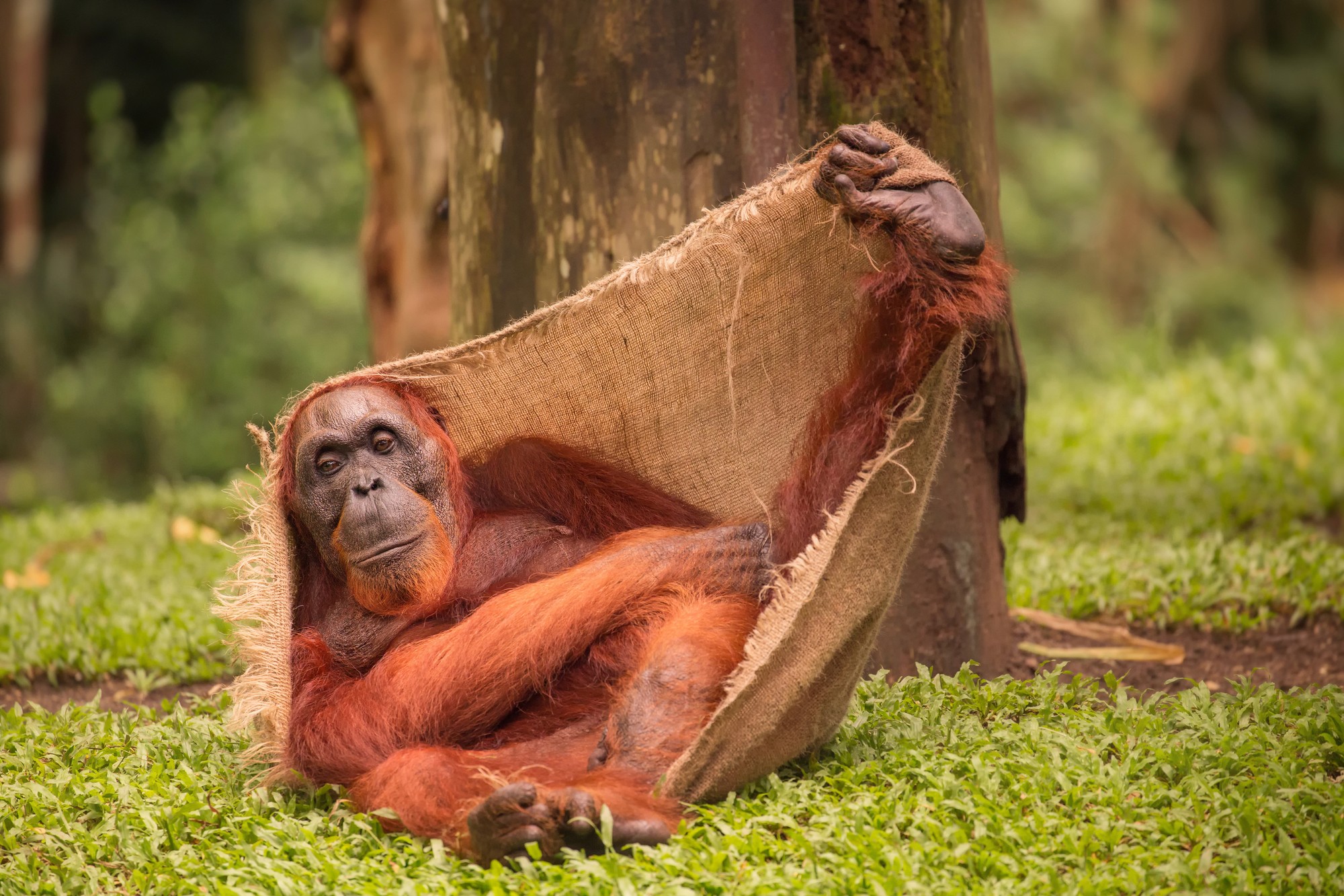 photography of dam during daytime