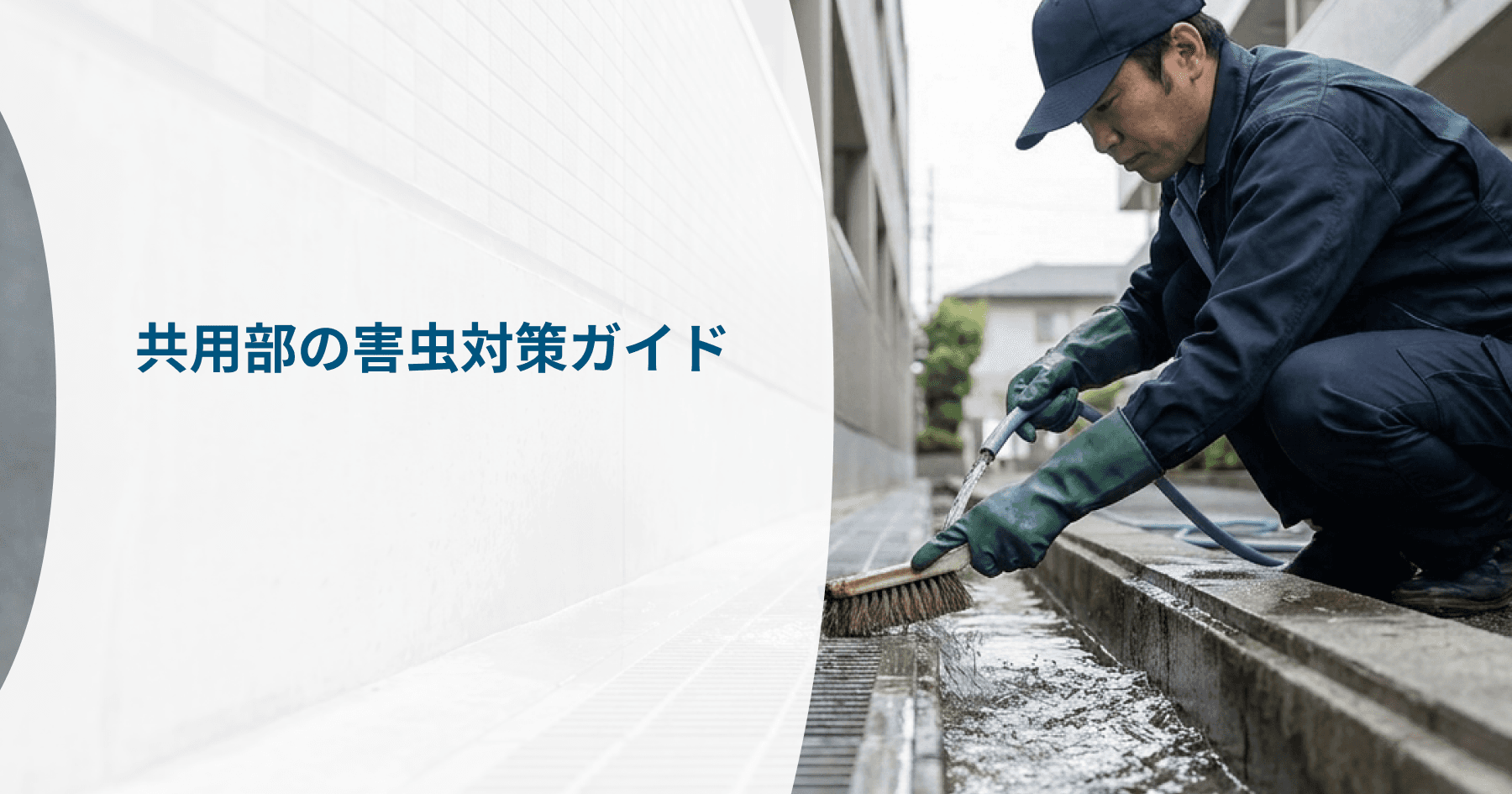 画像プレースホルダー(差し替え用)