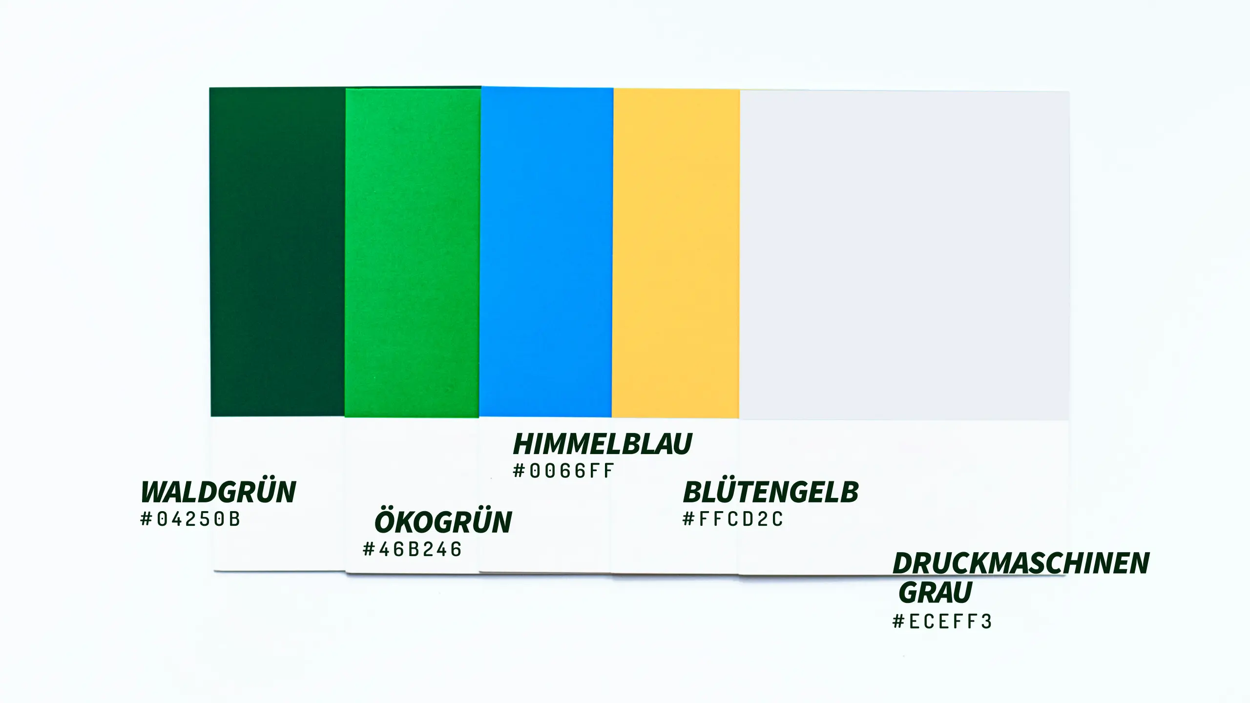 Fünf Farbfelder der Printzipia-Markenfarben mit deutschen Namen und Hex-Codes