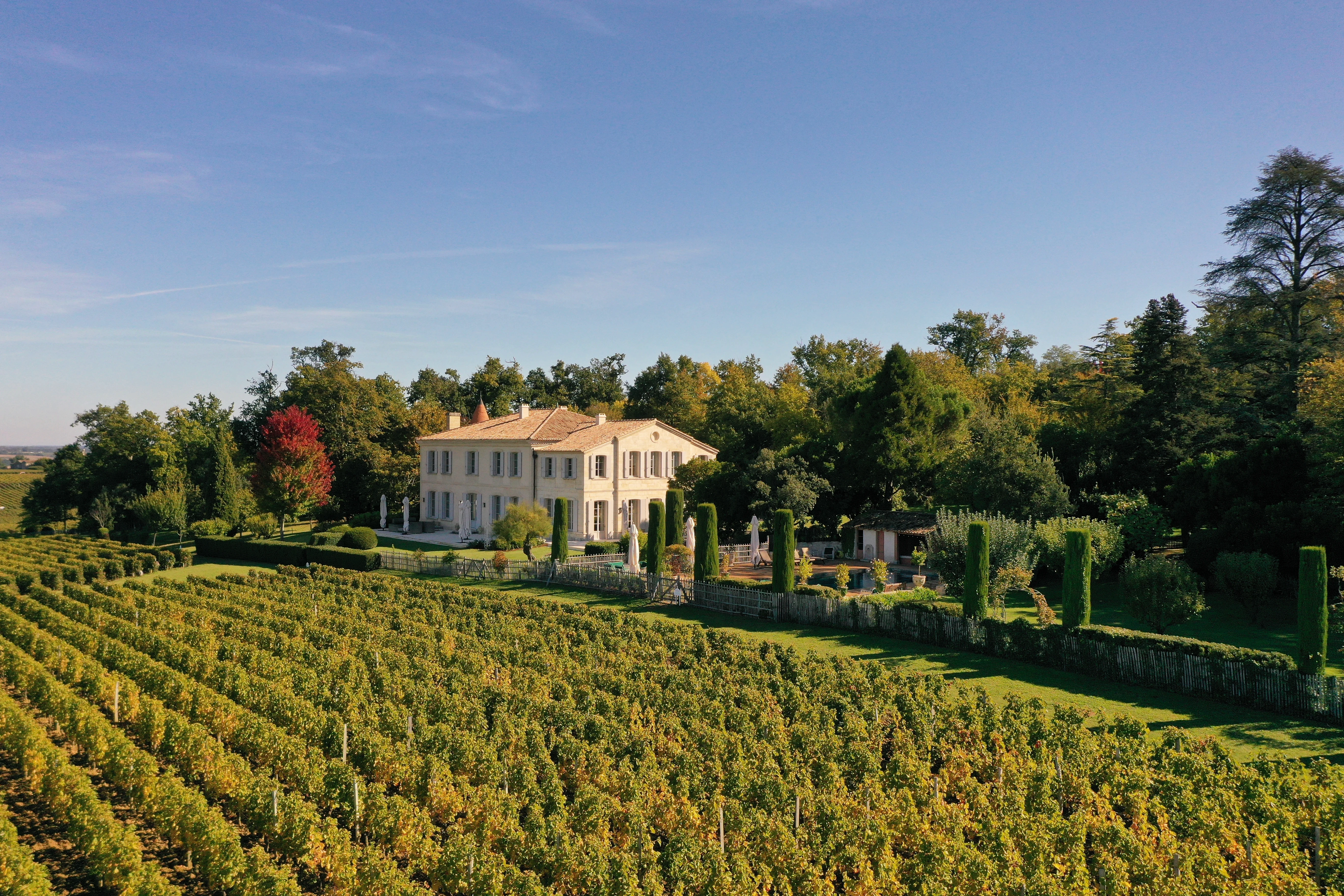 vignobles france saint emilion