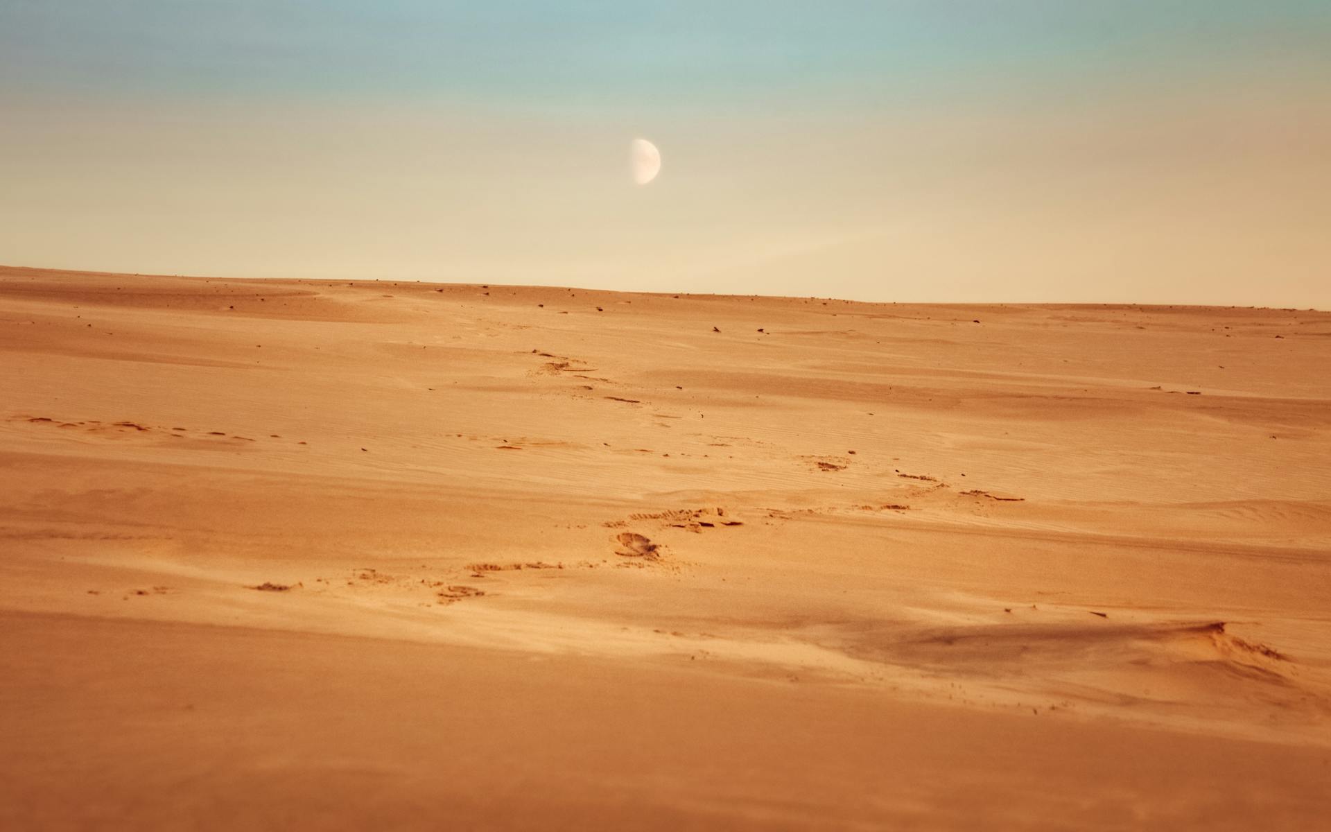 Dunes of Łeba