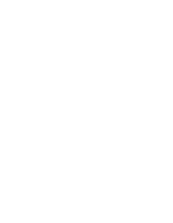 SF Studios logo.