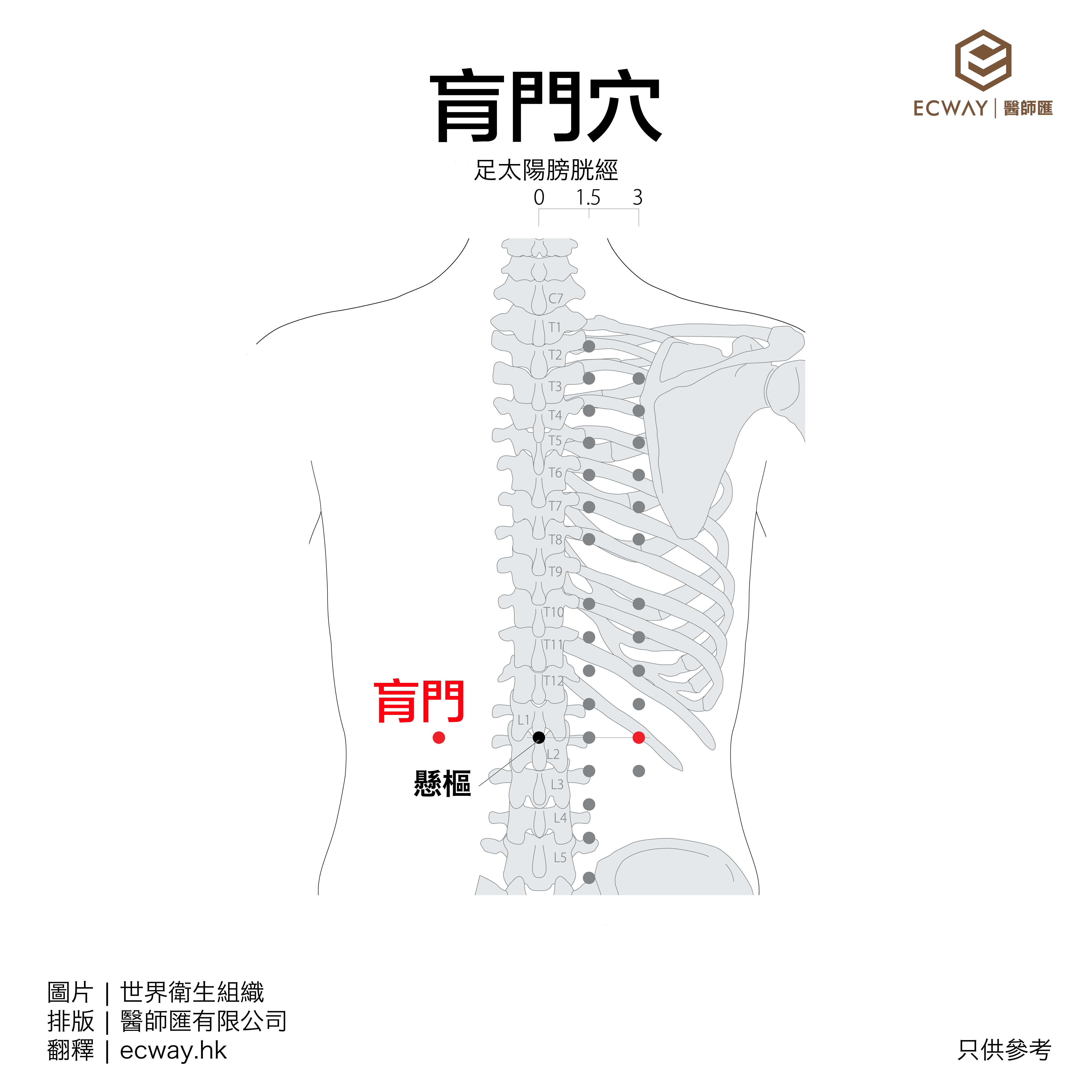 肓門穴