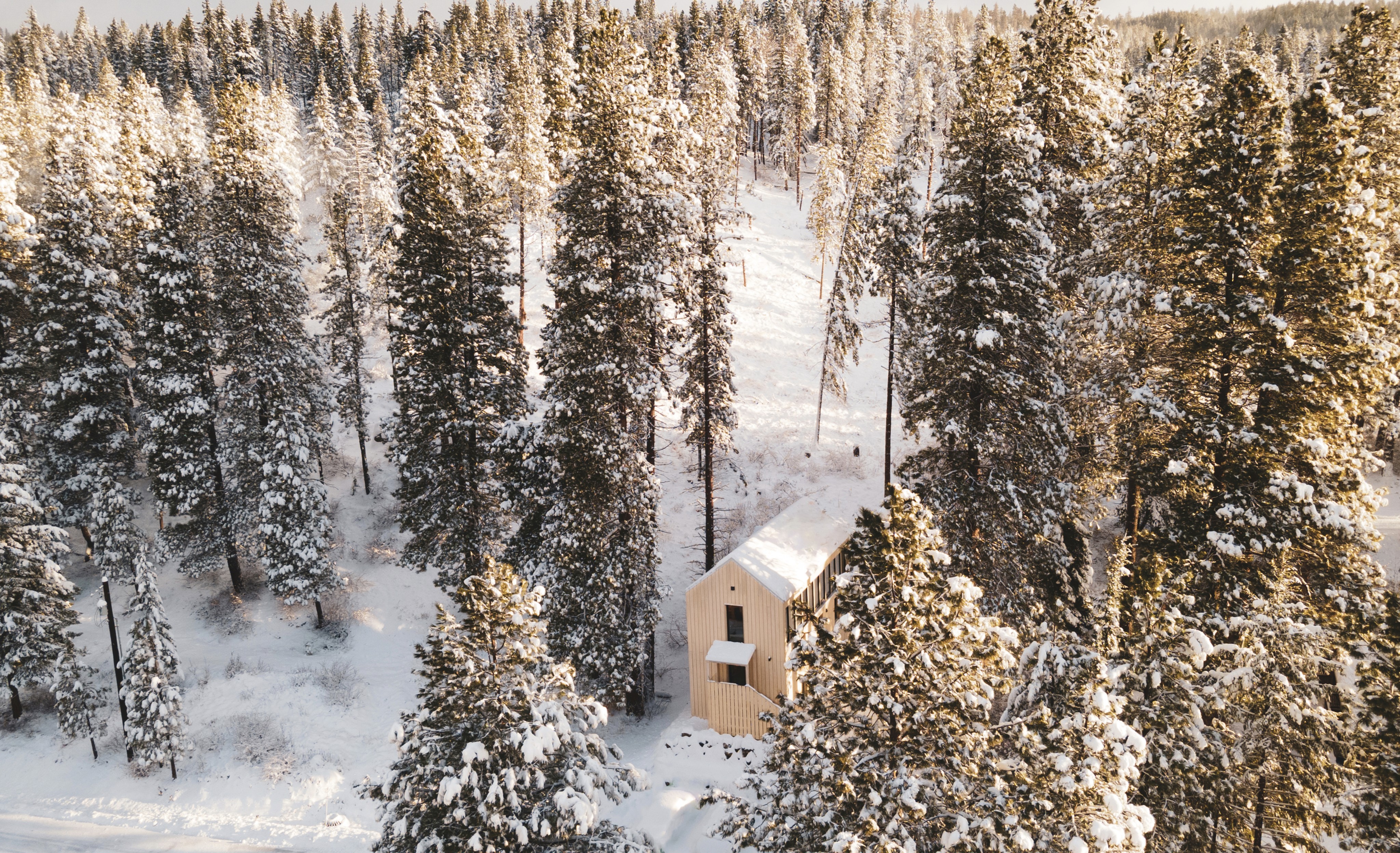 An aerial view of Trace studio and custom home set within a snowy forested landscape with sun streaming through the trees.
