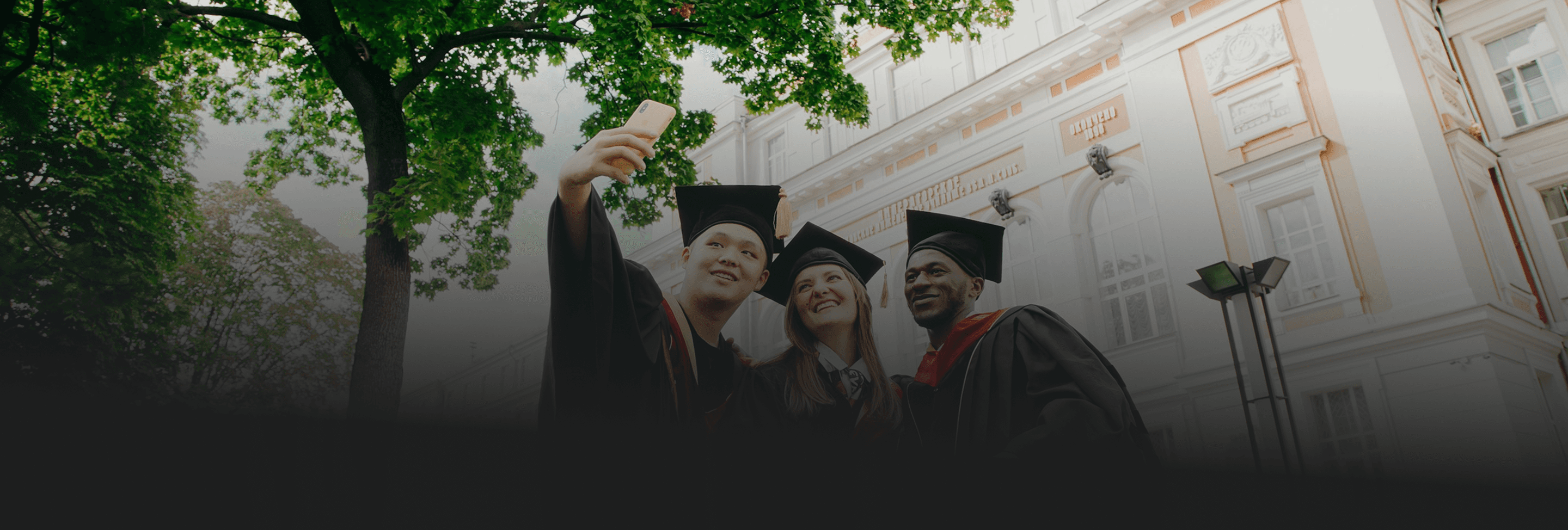 hive teams hero imagery