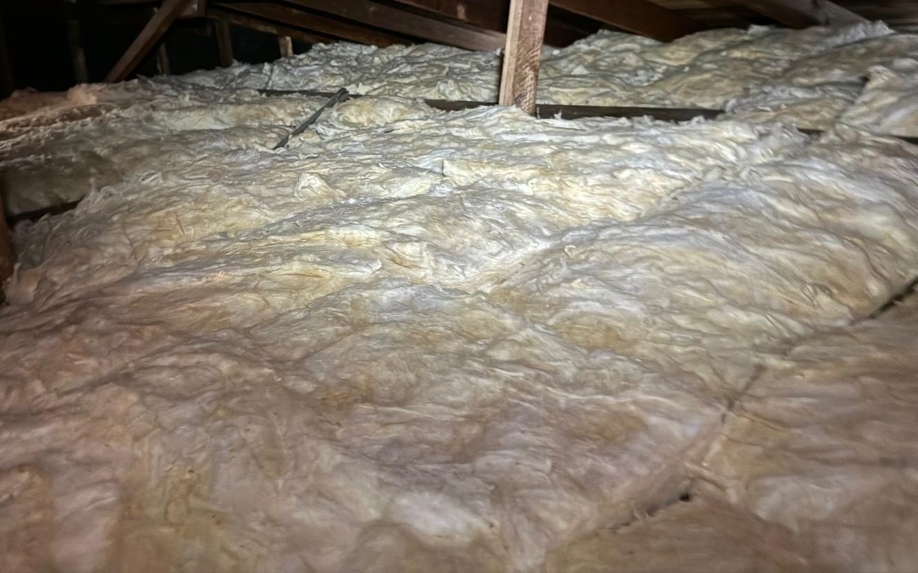 A modern house with large windows and a flat roof, surrounded by greenery against a clear blue sky.