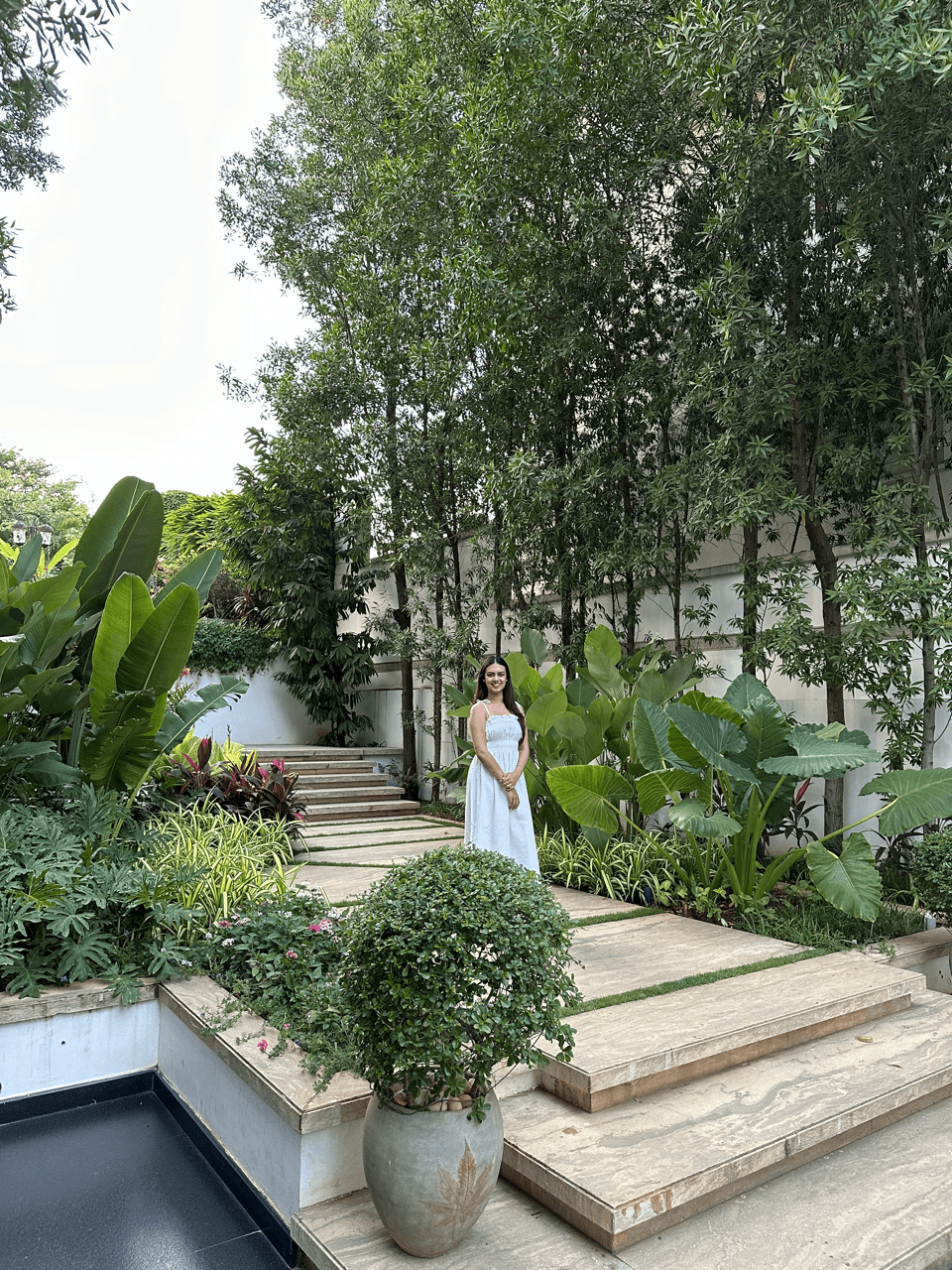 Backyard with tropical,lush and colorful plantation.