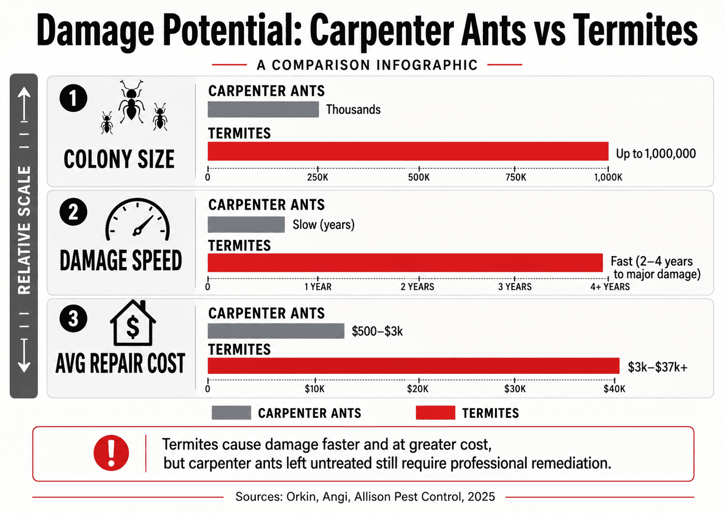 damage-potential-of-carpanter-ant-vs-termites