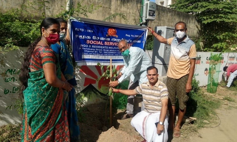 Tree plantation project