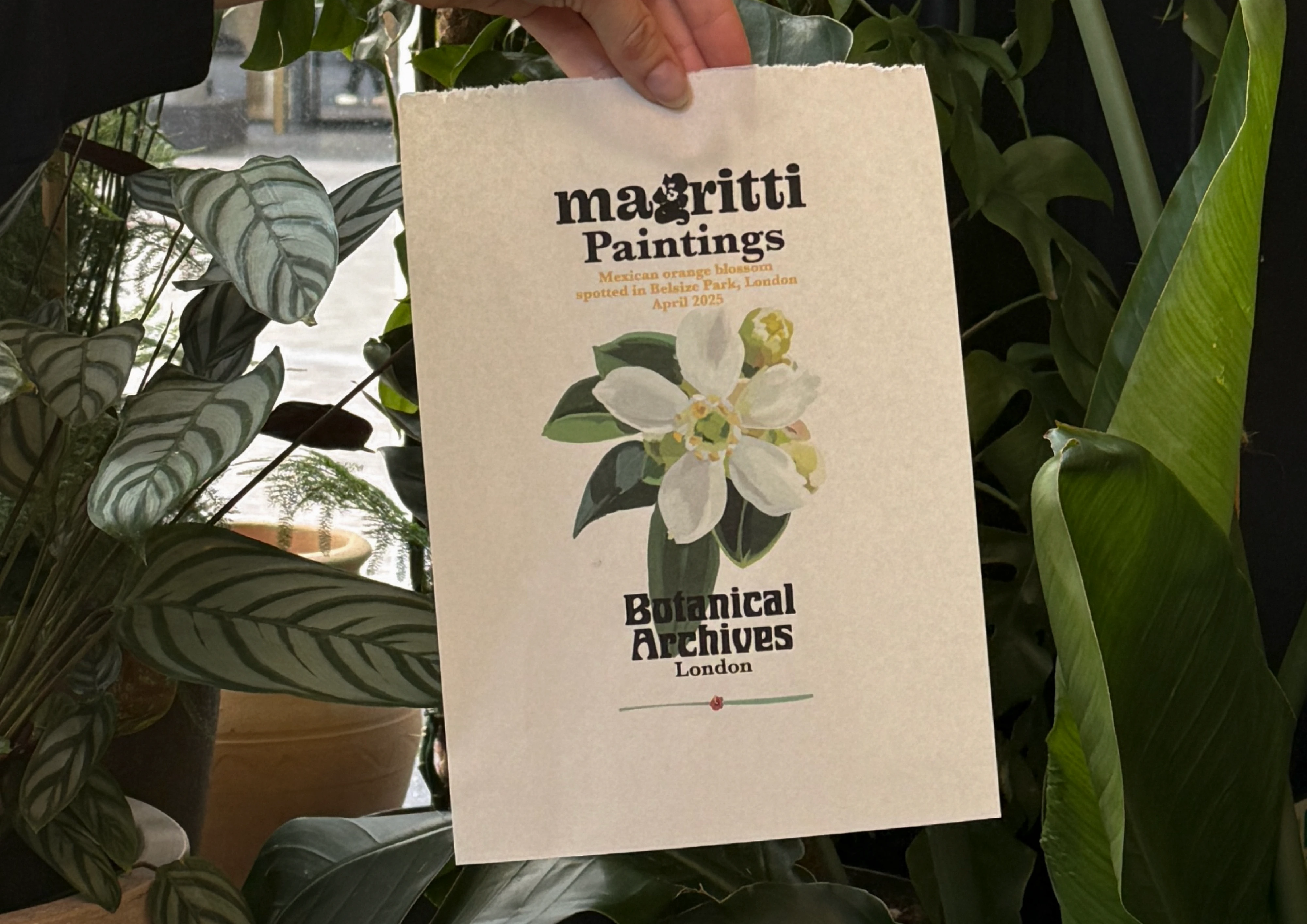 Hand holding a torn printed sheet with a painted white orange blossom, in front of dense green houseplants.