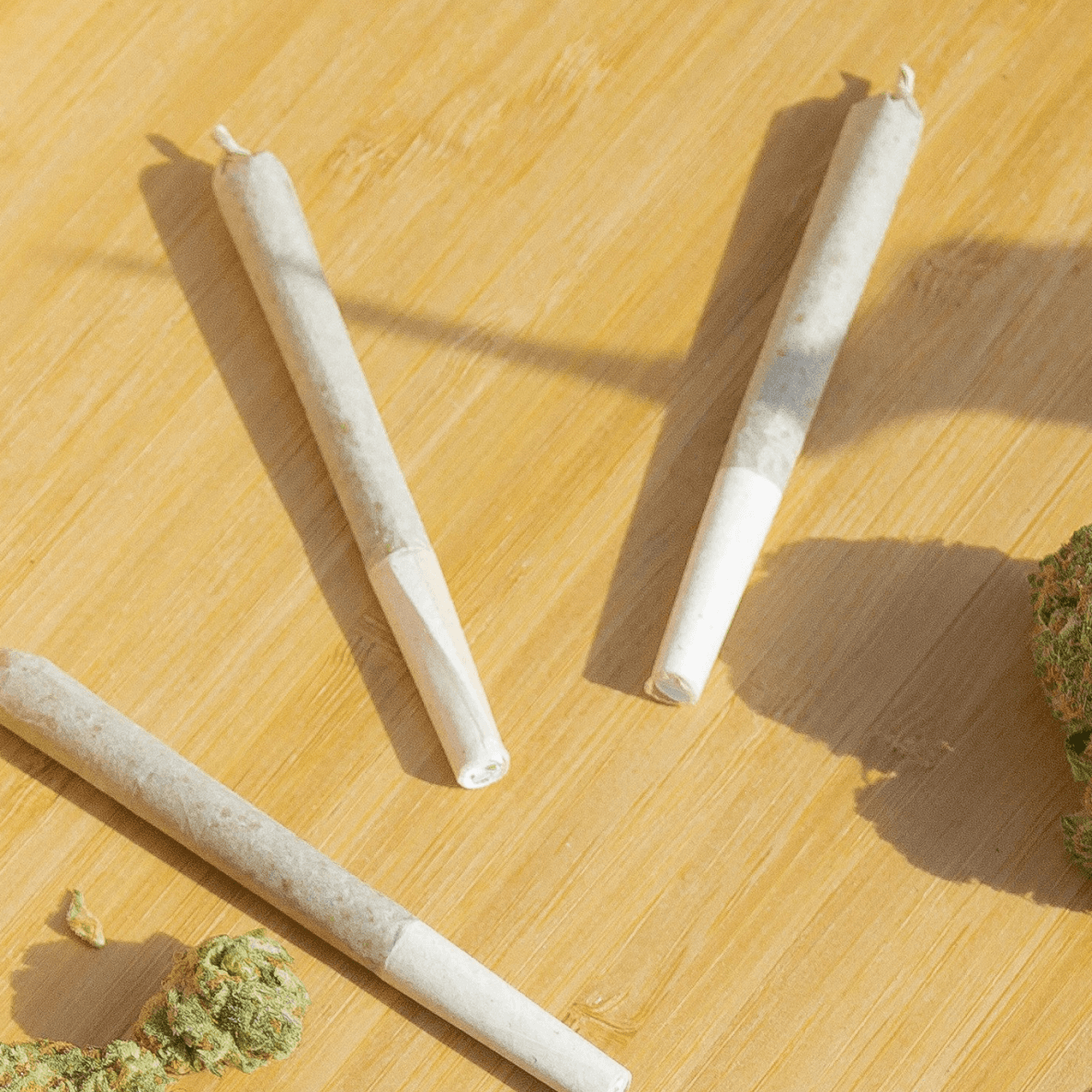Rolled cannabis on table