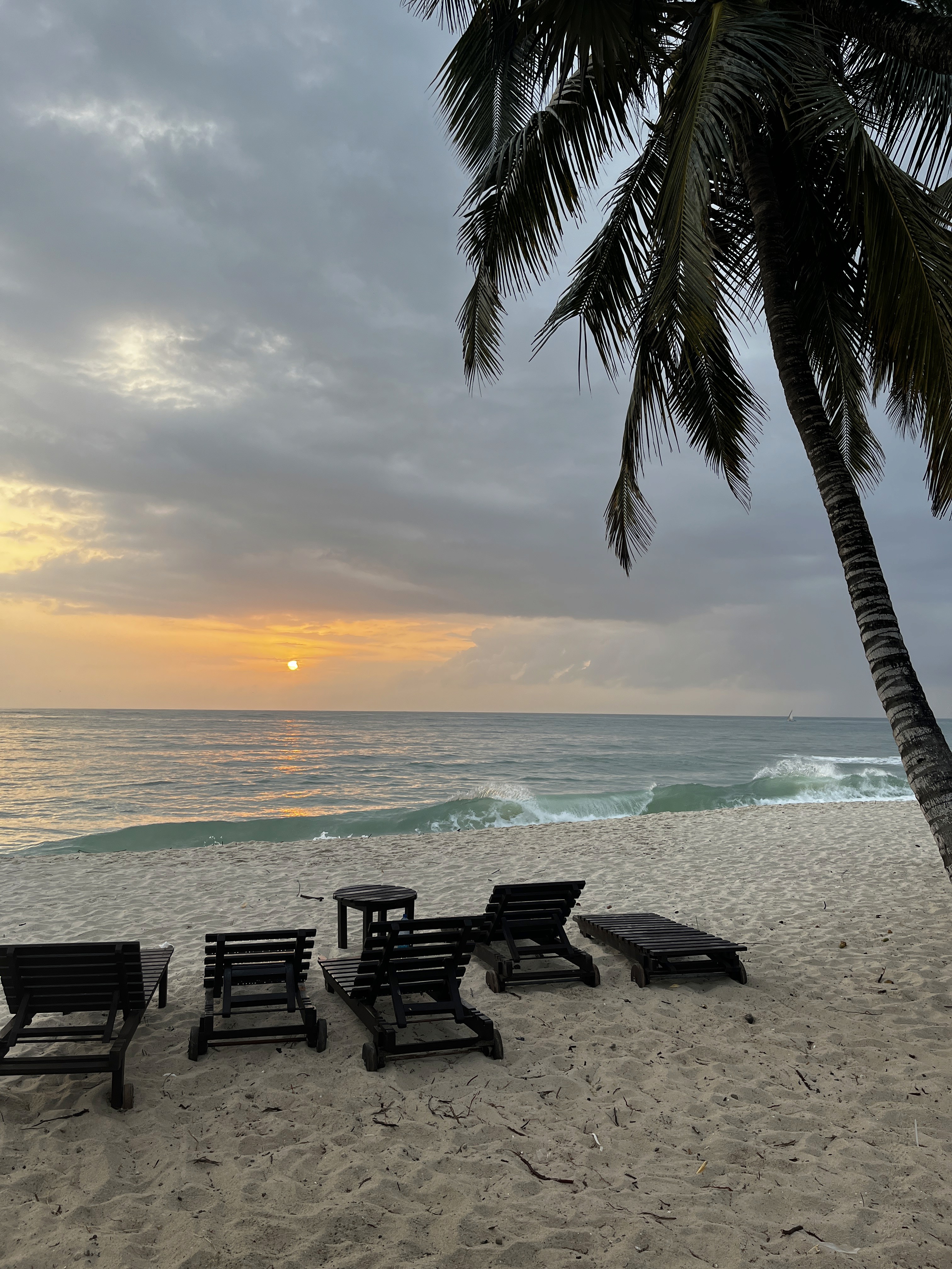 a brown dog sitting on top of a sandy beach