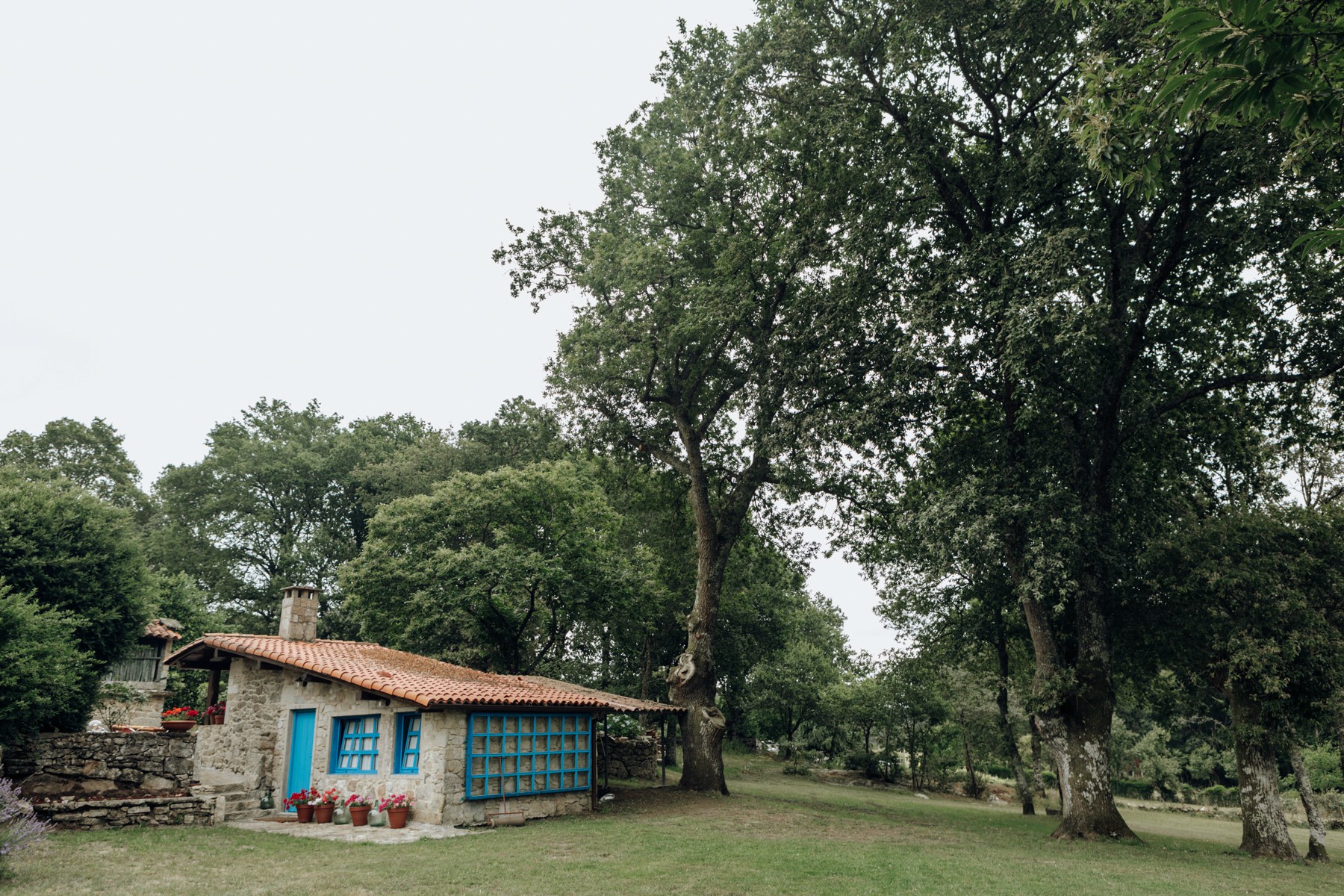 A parada das bestas | Sesion fotografía