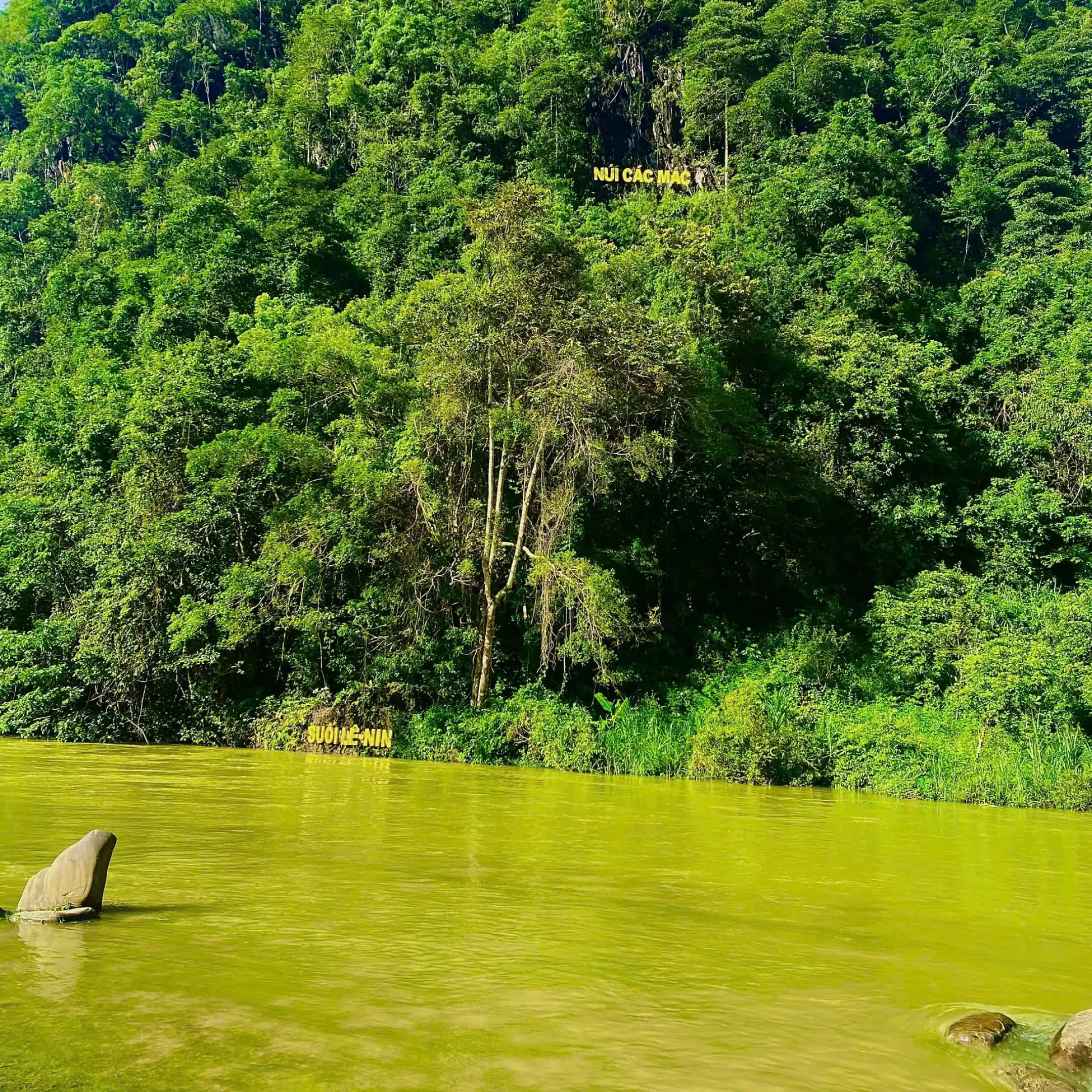 Kami Agence - Nguyễn Tú Anh