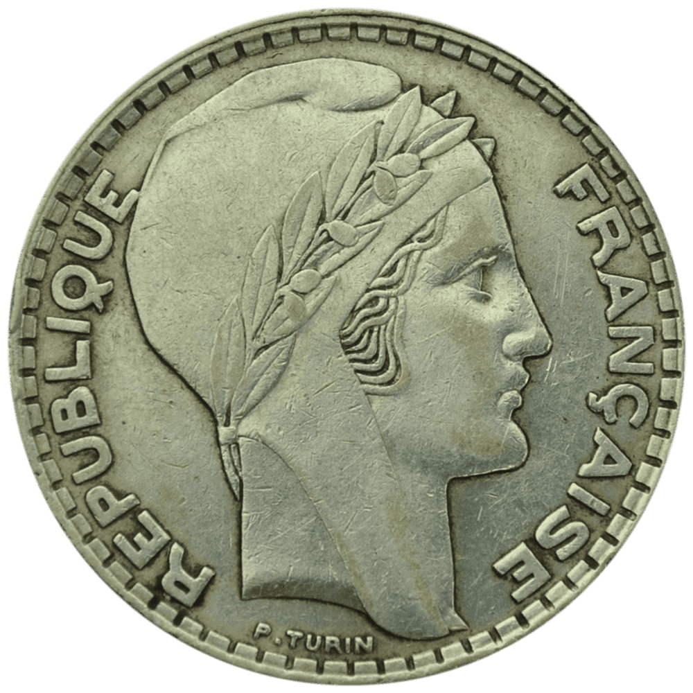 Close-up of a dark green leaf showing its textured surface and central vein against a muted background.