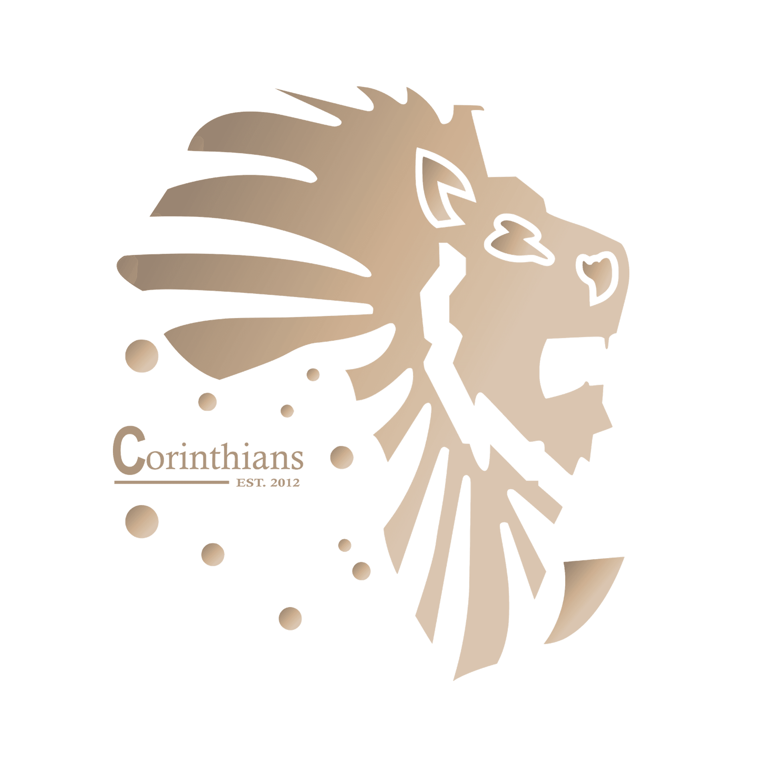 Perform Template Logo