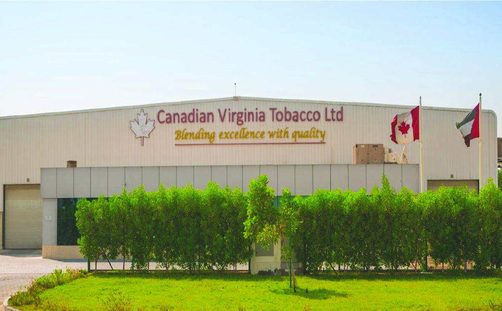 cigarette leaf tobacco Cigarette Tobacco On Green Leaf Stock Photo 278211071