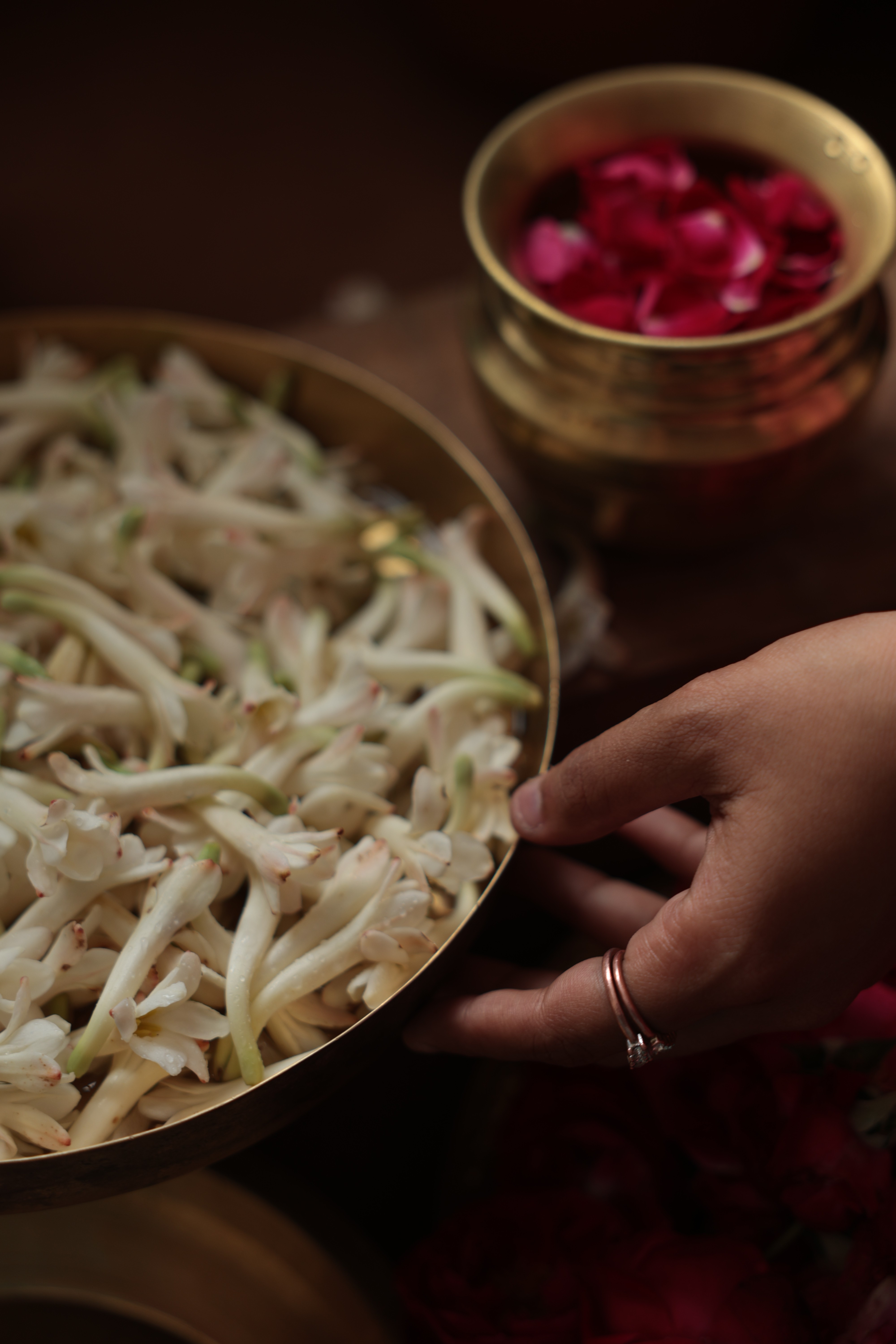 silhouette photography of woman doing yoga