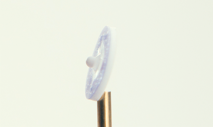 RT-SPOT elevated skin marker, animation (30fps)
