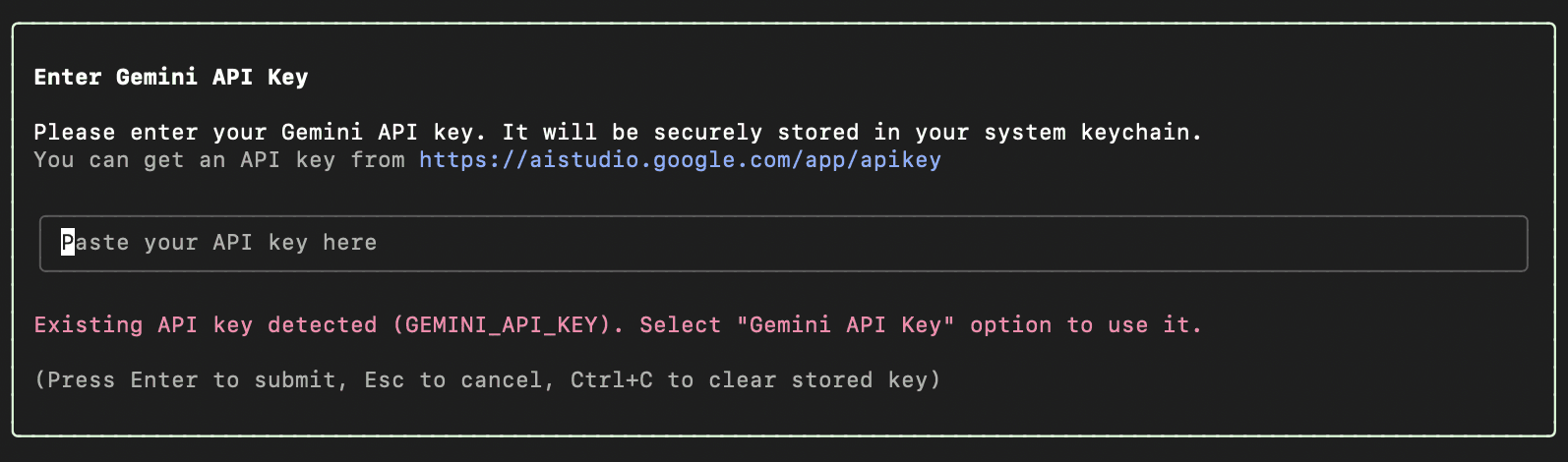 Entering the API key in the Gemini CLI