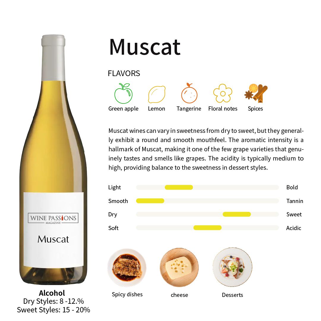 Muscat 葡萄 Muscat 酒類介紹 Muscat 酒品嚐方法 Muscat 酒搭配 晚餐用酒Muscat Moscato 起泡酒 Rutherglen Muscat 葡萄酒分類 Muscat Moscato推薦 法國甜型 Muscat Muscat 起源 全球 Muscat 拍賣價 高級氣泡酒 Moscato   百搭 Muscat 風味