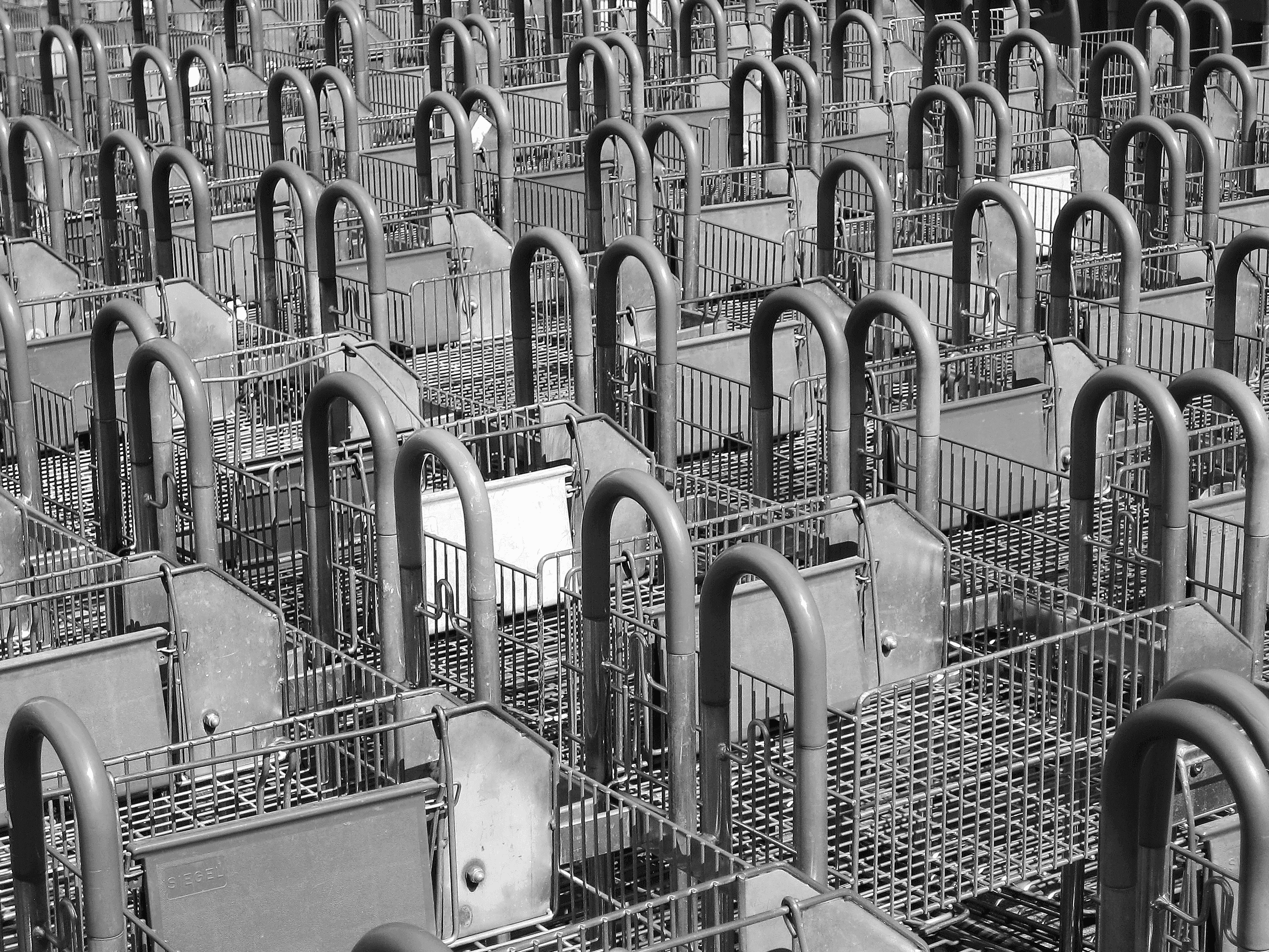 Digital tools for wholesale distributors – Ultimate guide.