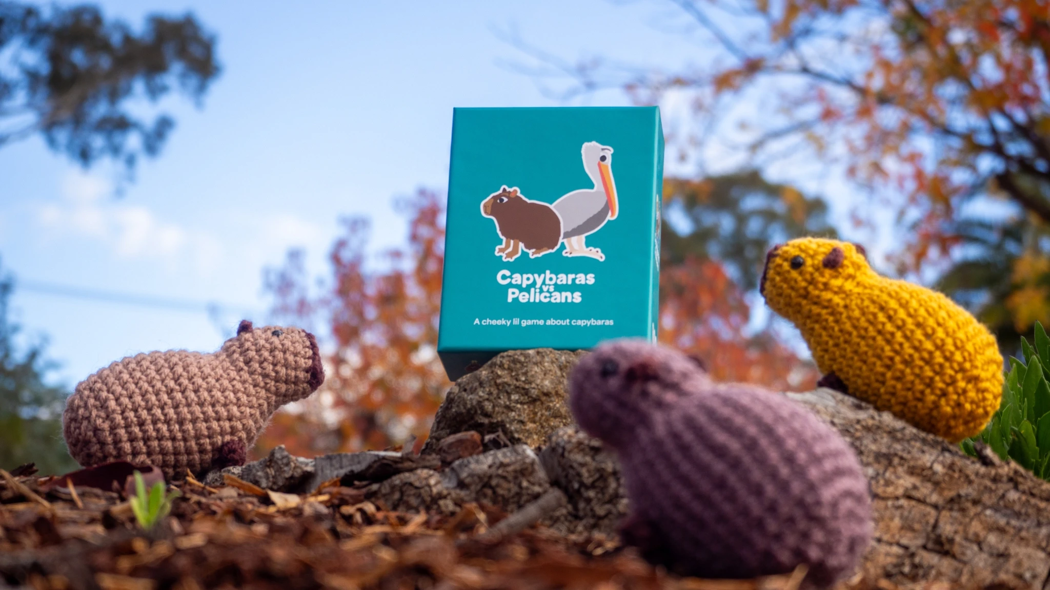 Capybaras vs Pelicans board game box resting on a rock alongside crochet capybara plushies.