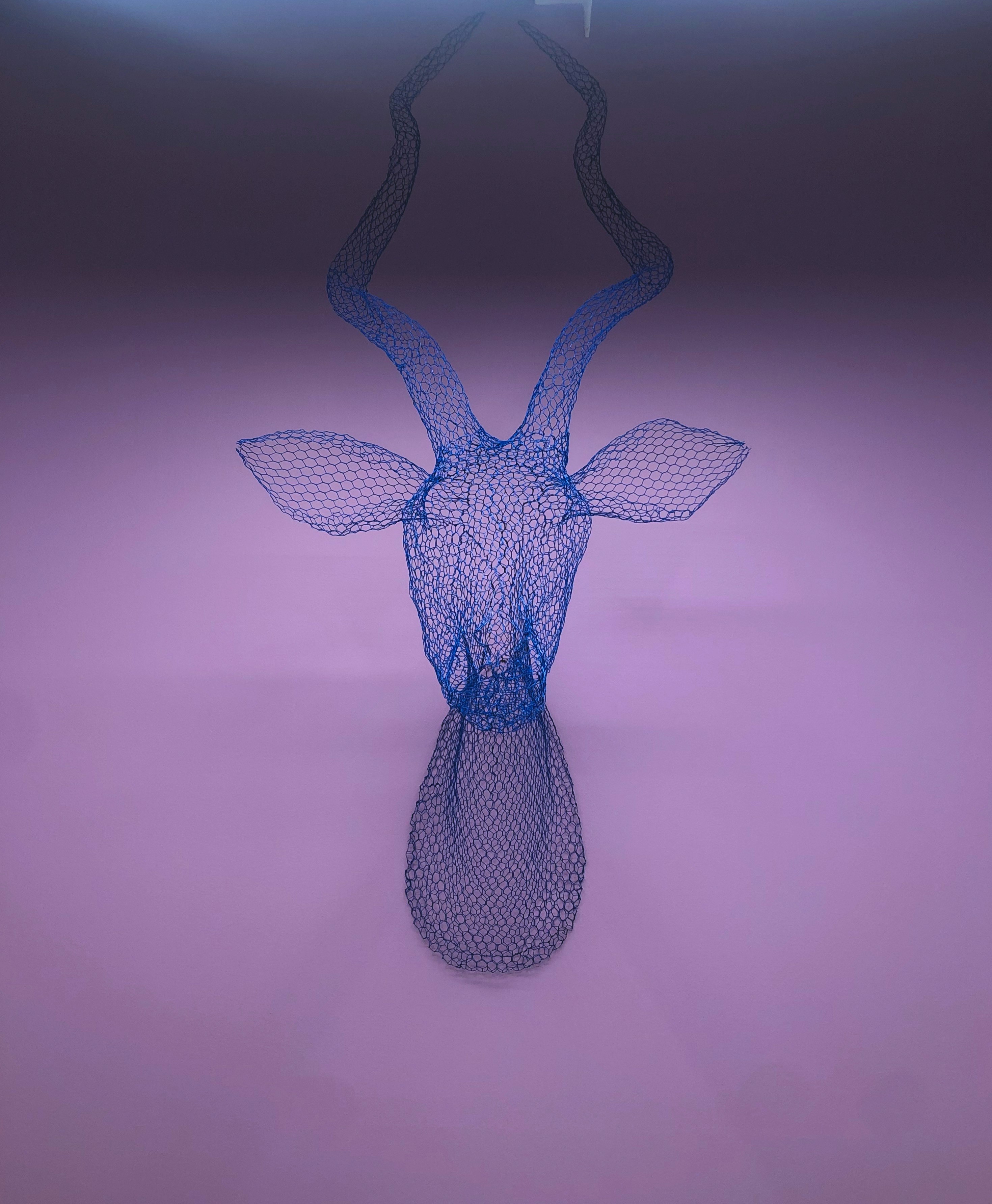 Project gallery image 28