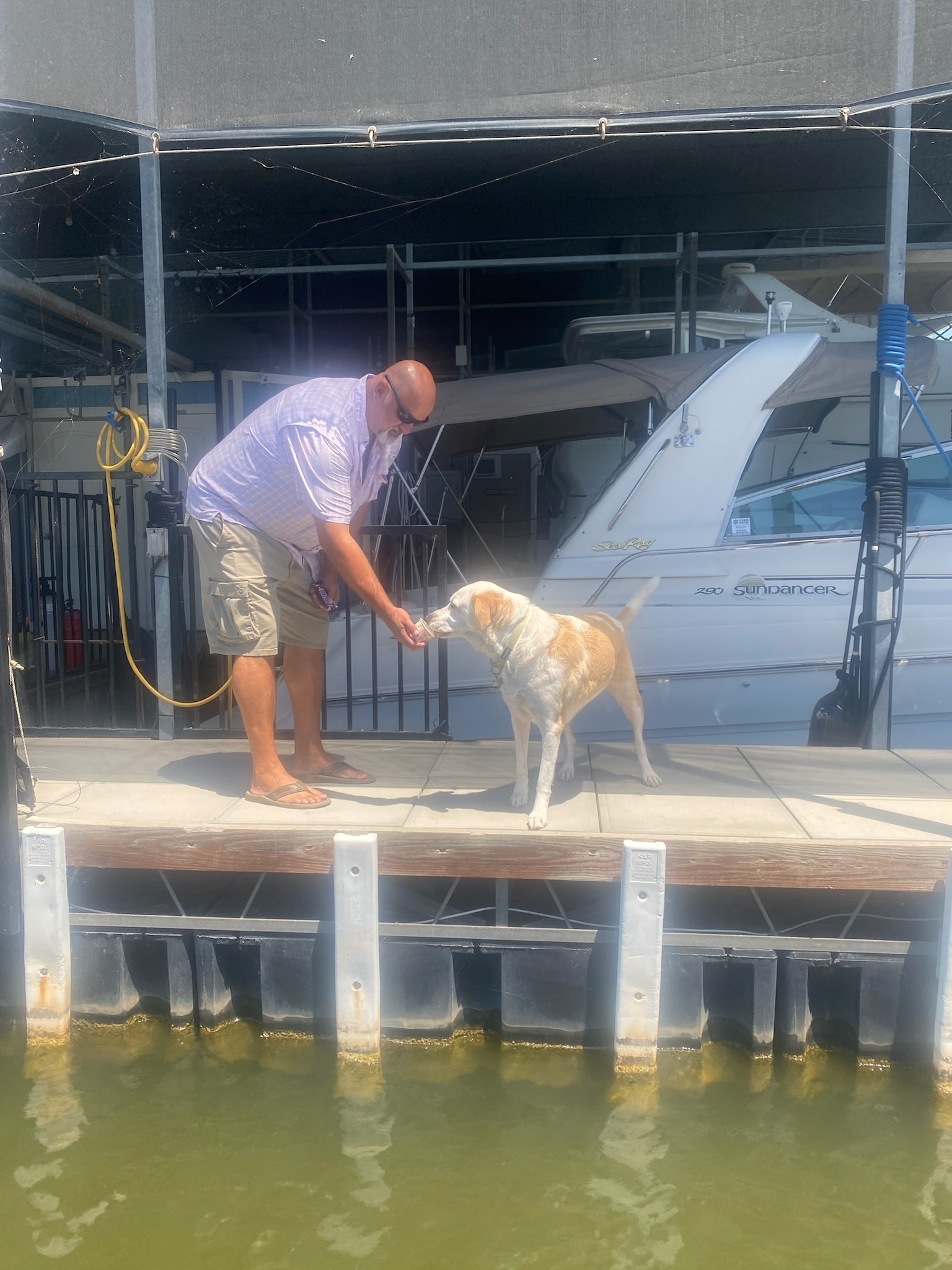A man in casual attire interacts with a dog on a dock near a white boat, amidst bright sunlight and dockside equipment, creating a serene waterfront scene.