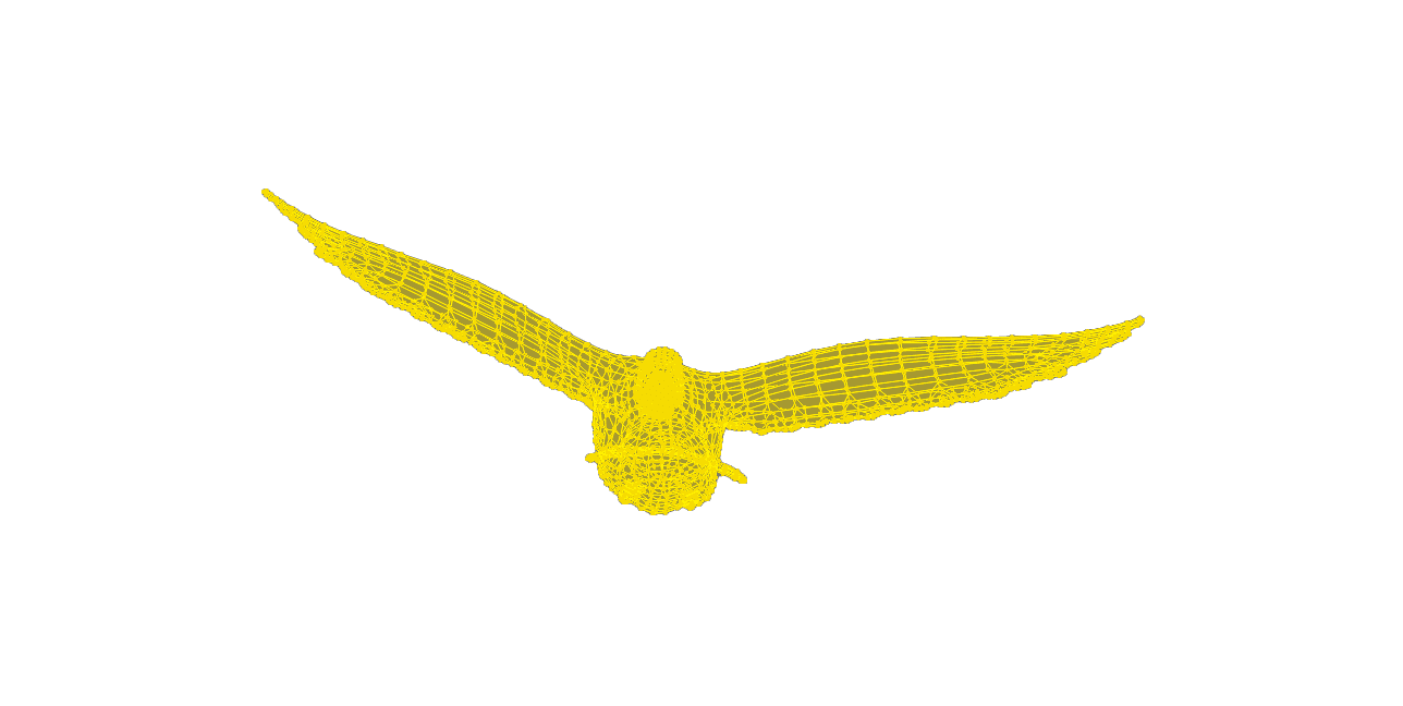 Growth Duck From Infront