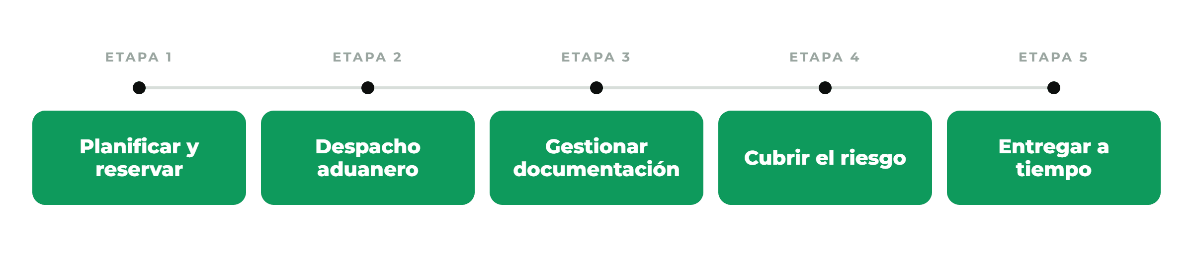 Infographic showing 5 stages of the freight forwarding process in green rounded boxes connected by a timeline: Stage 1 Plan the route, Stage 2 Book & coordinate, Stage 3 Clear customs, Stage 4 Cover the risk, Stage 5 Deliver on time.