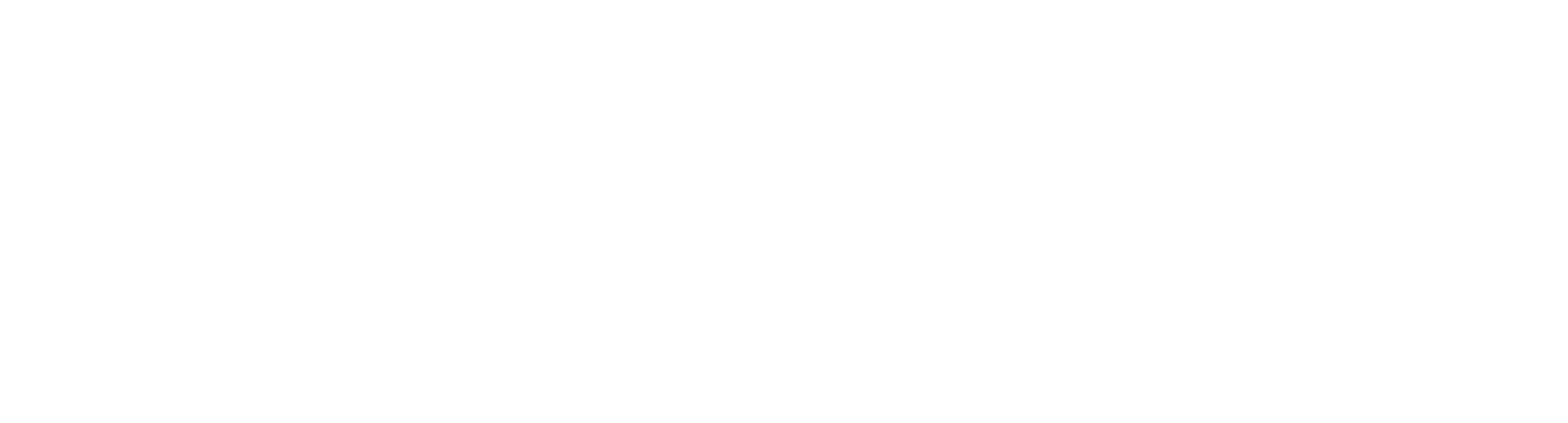 Flyscale