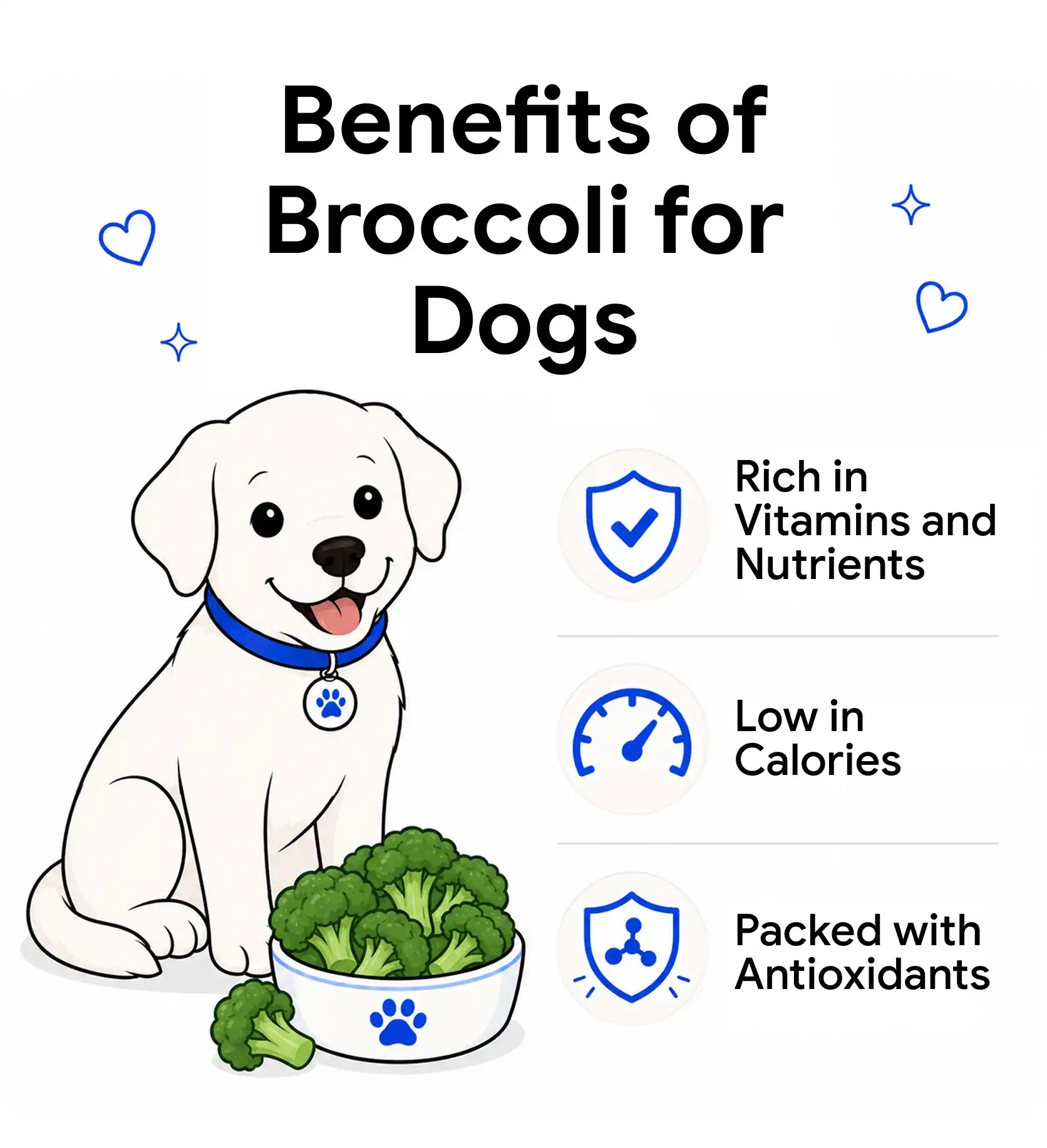Benefits of broccoli for dogs