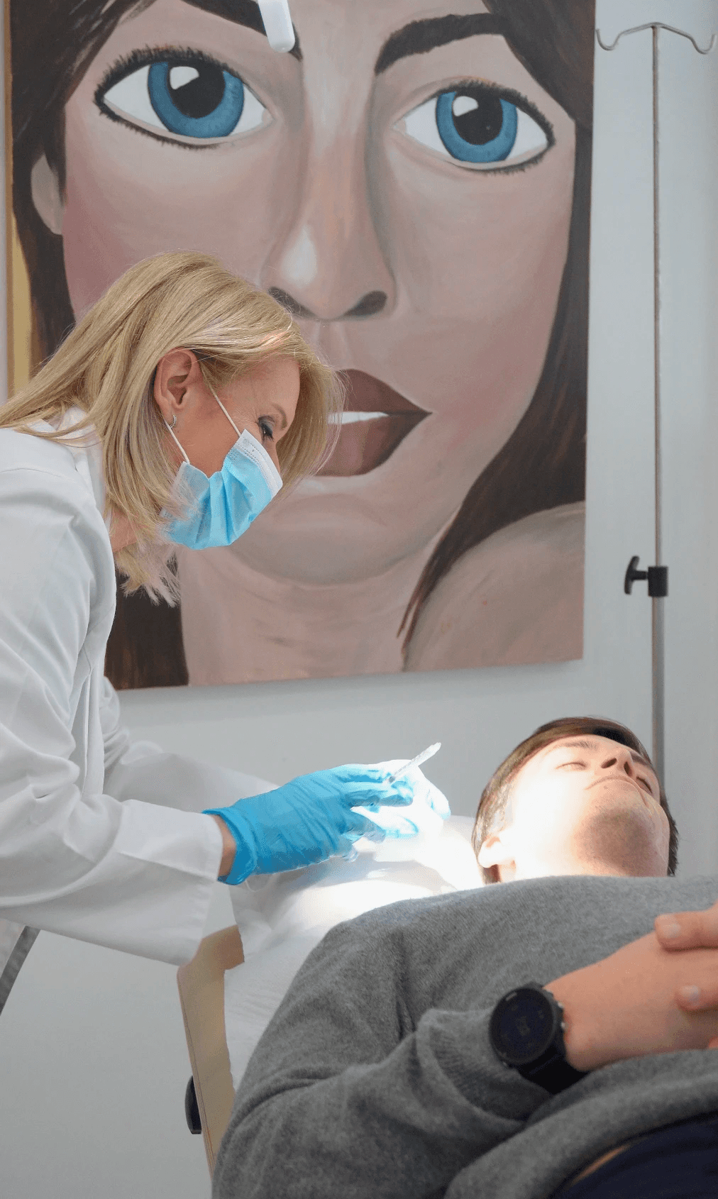 Portrait of a small brown dog on yellow background
