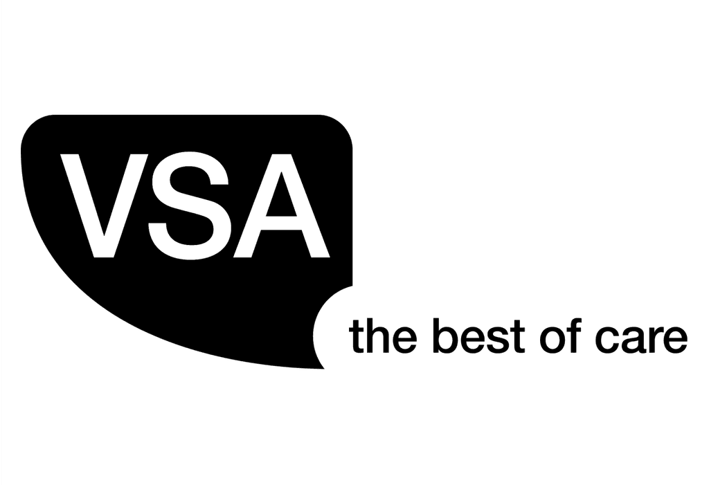 VSA Community Partner of Carefree charity