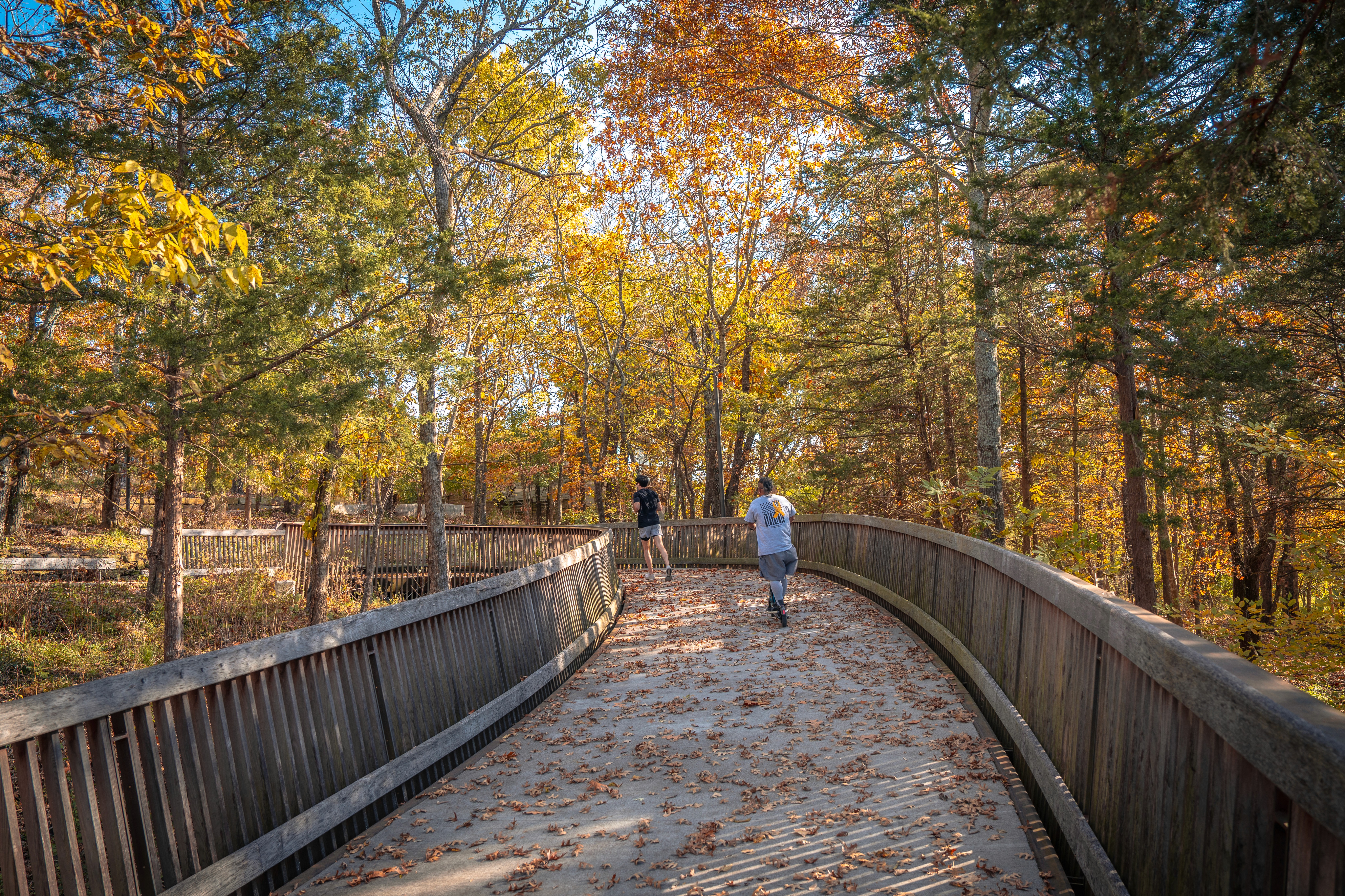 people walk on a curved bridge under autumn trees