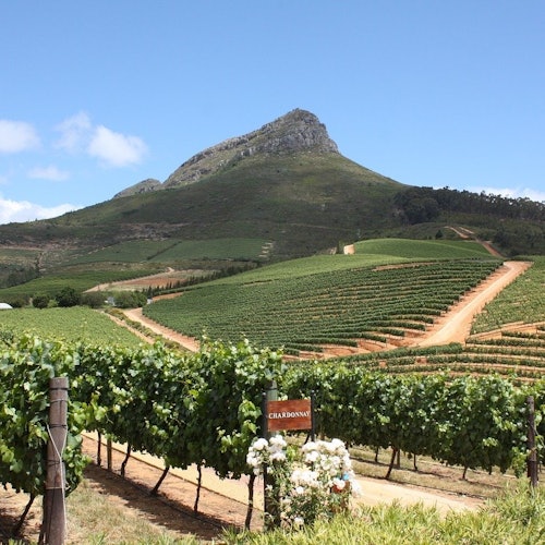 Delaire Graff Vineyards in Stellenbosch