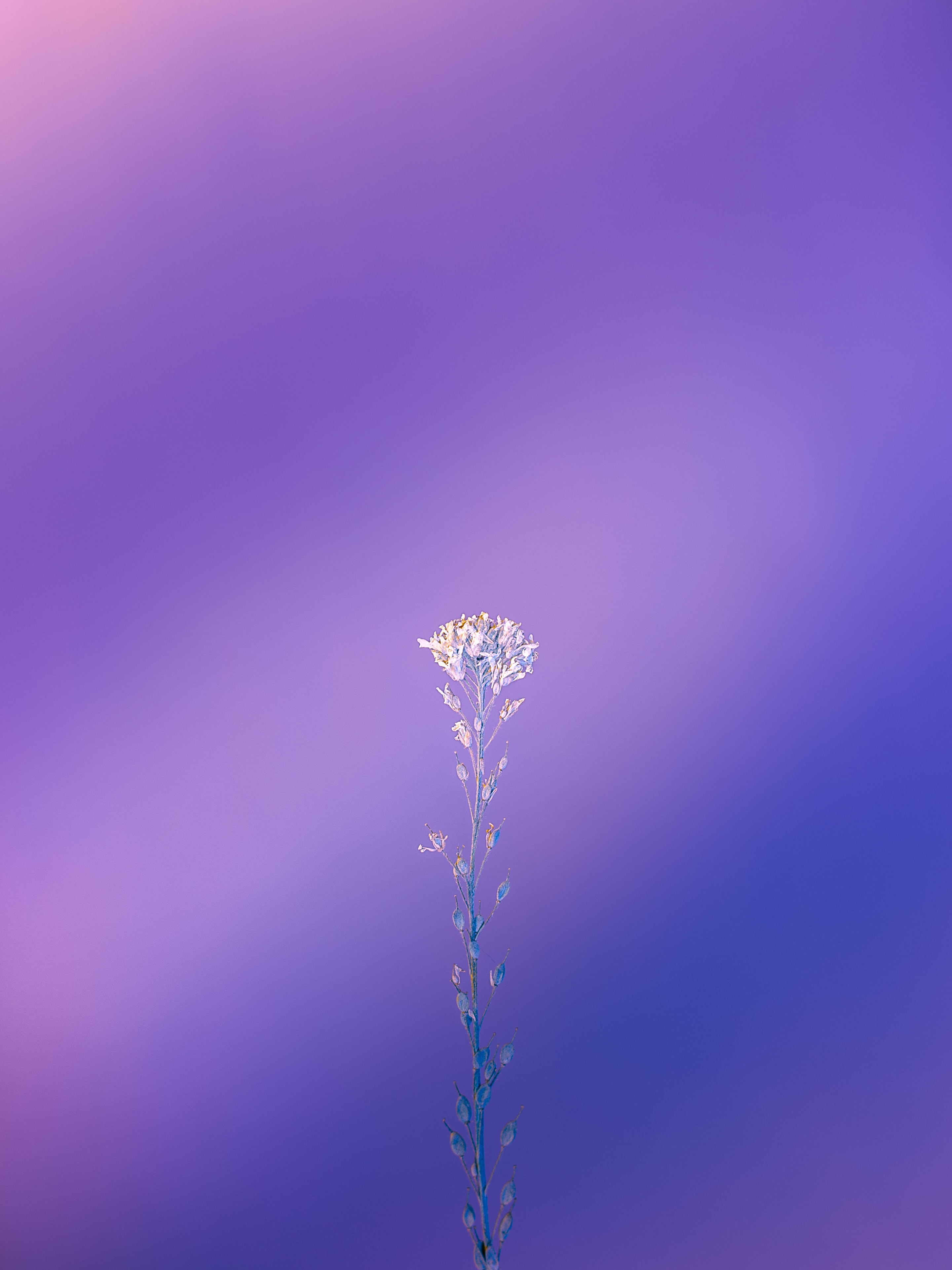 Post 1