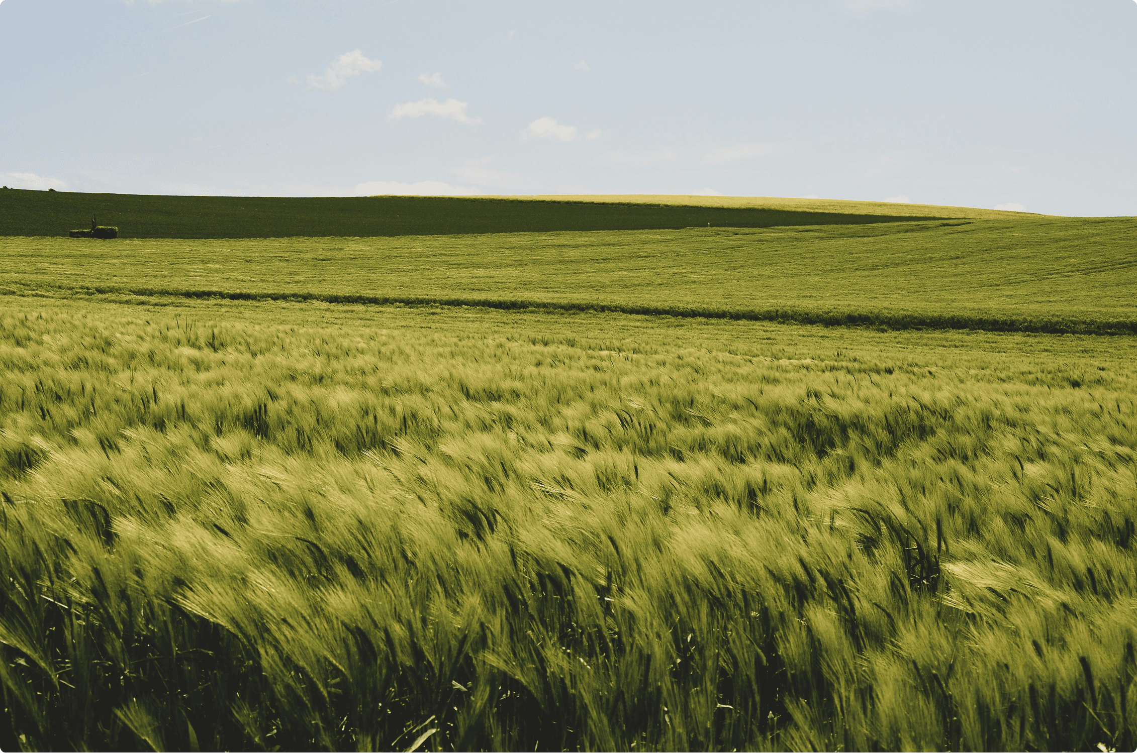 Aerial farmland landscape