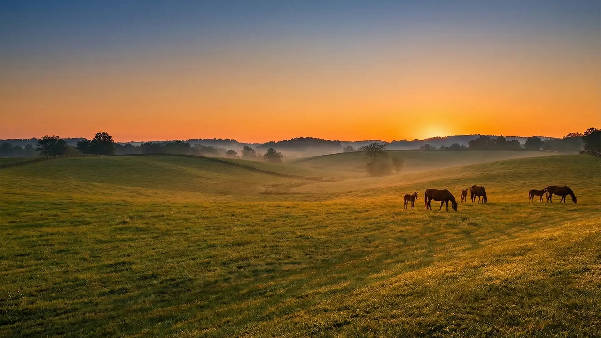 Our marketing team talking with brands