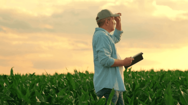asesoramiento-sector-agropecuario