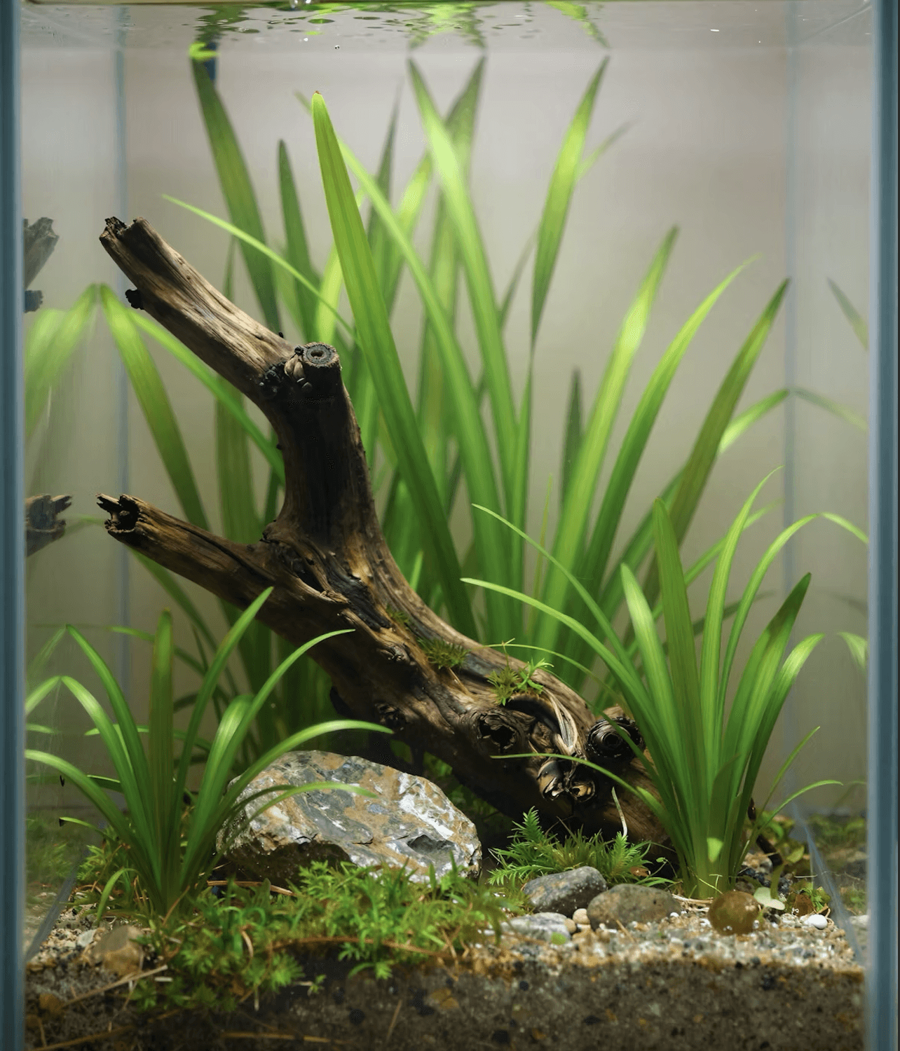 Large aquarium construction