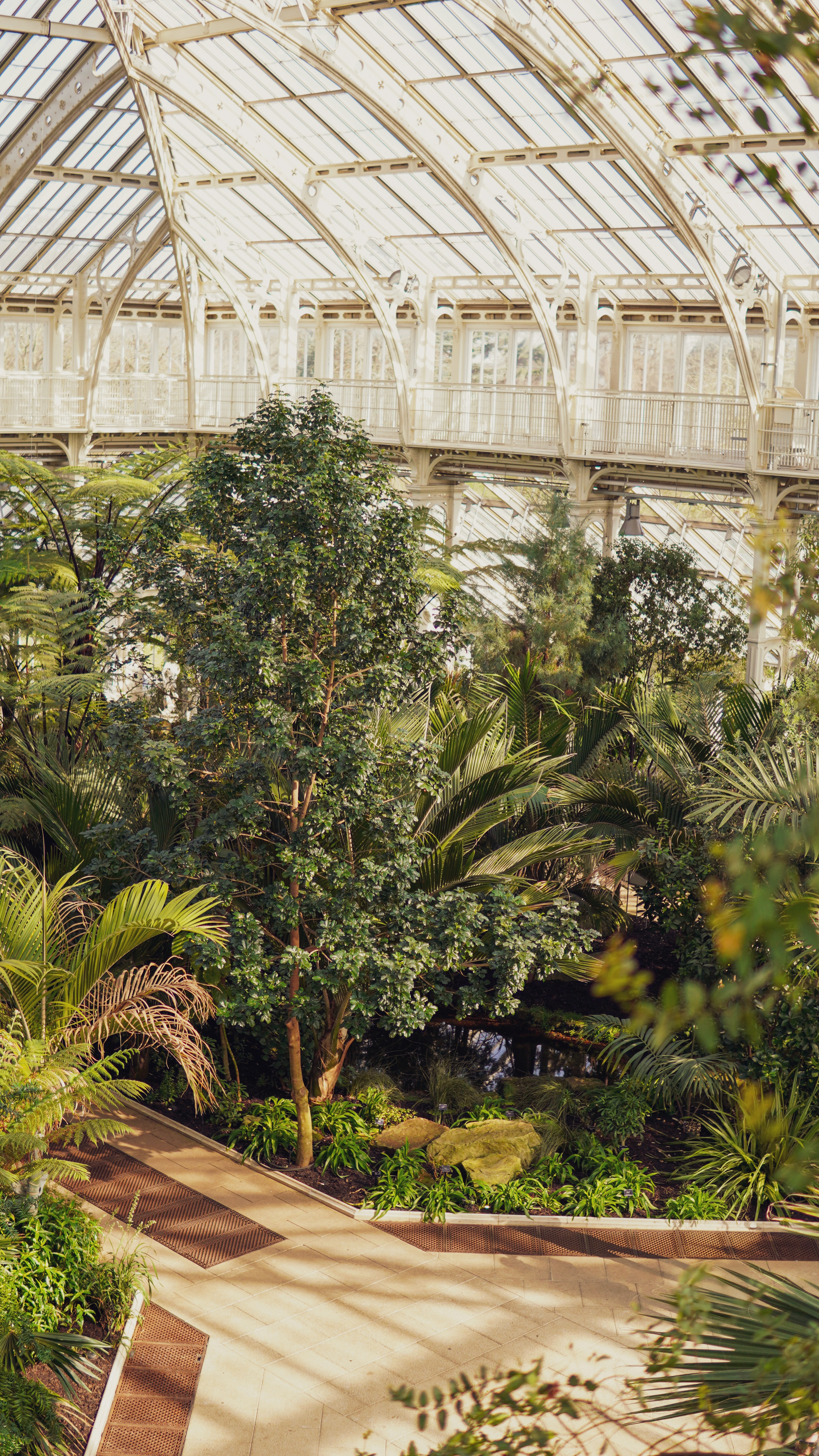 Picture of plants
